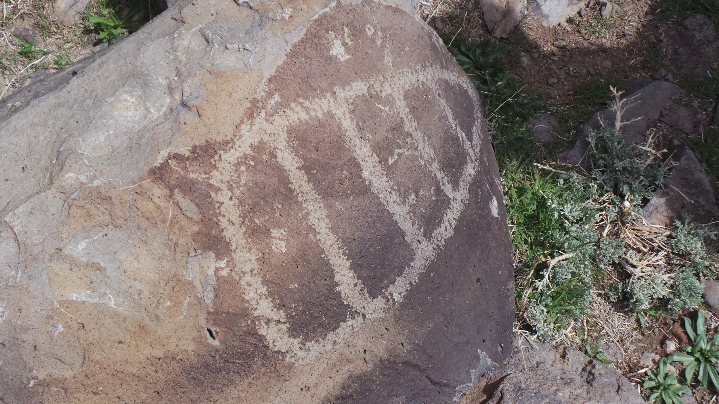 Lagomarsino Petroglyph Site 244.JPG