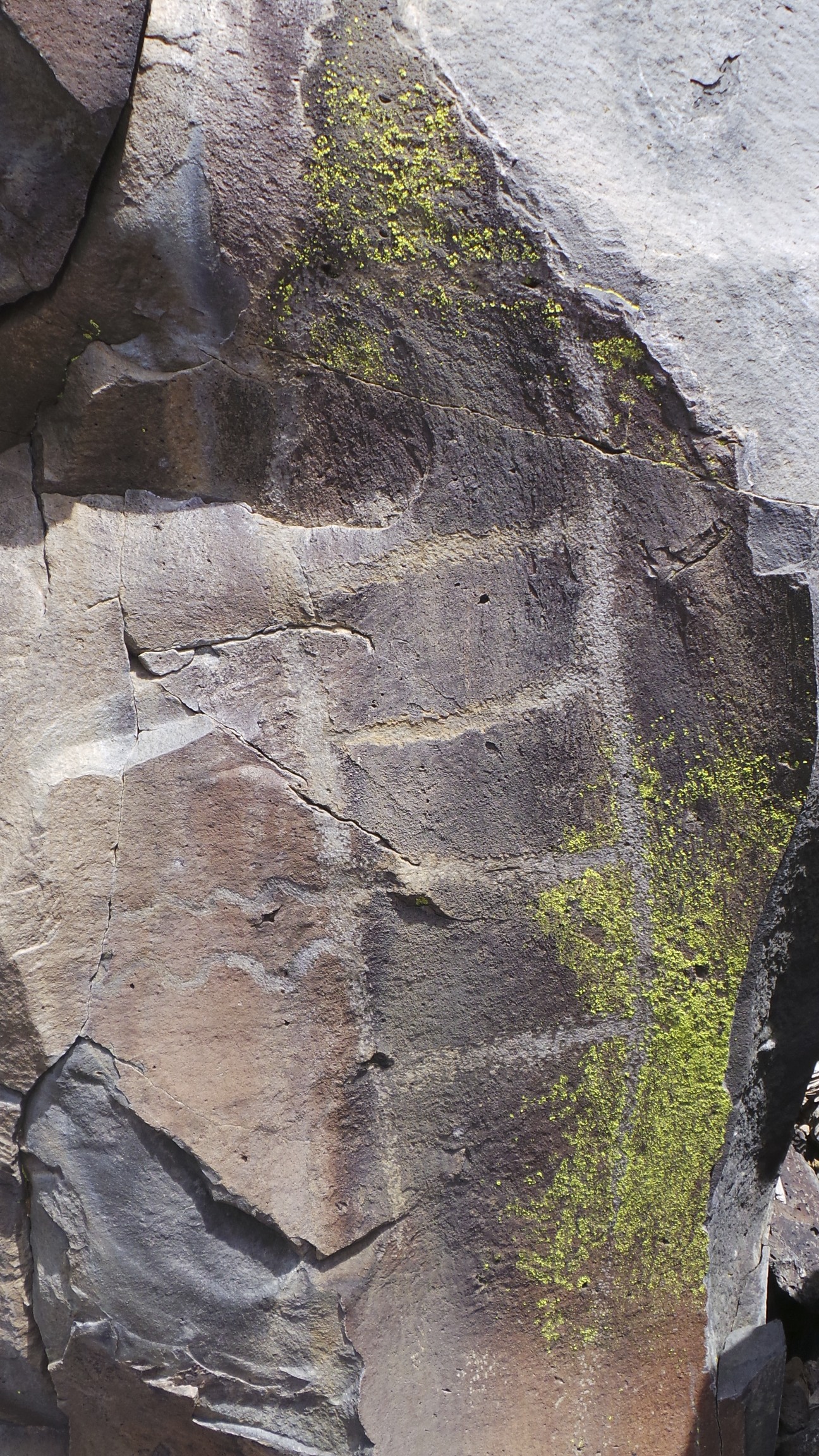 Lagomarsino Petroglyph Site 245.jpg