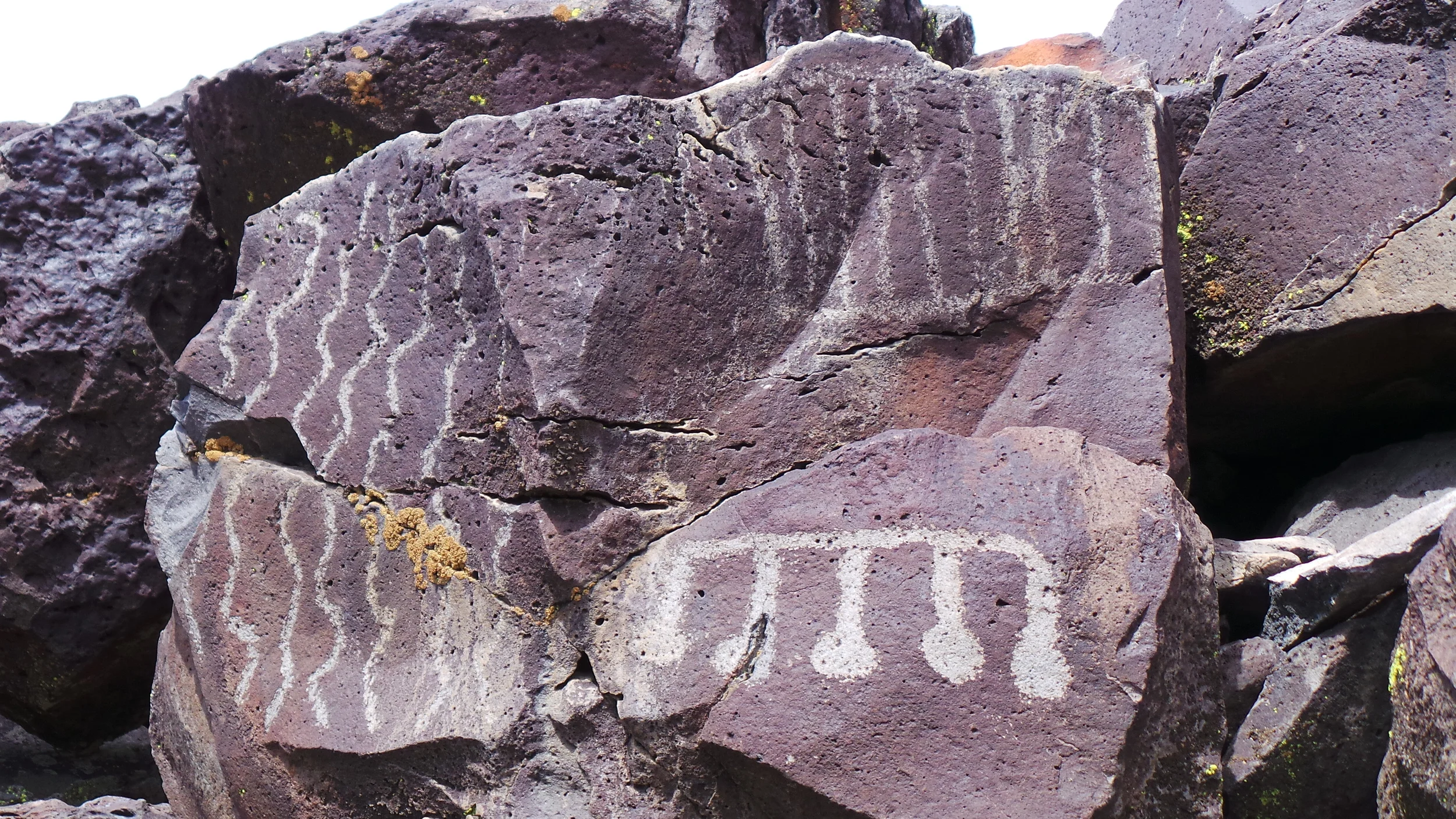 Lagomarsino Petroglyph Site 248.JPG