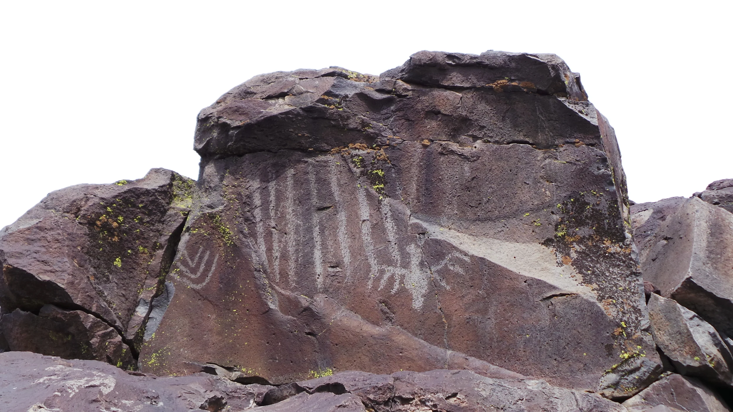 Lagomarsino Petroglyph Site 258.JPG