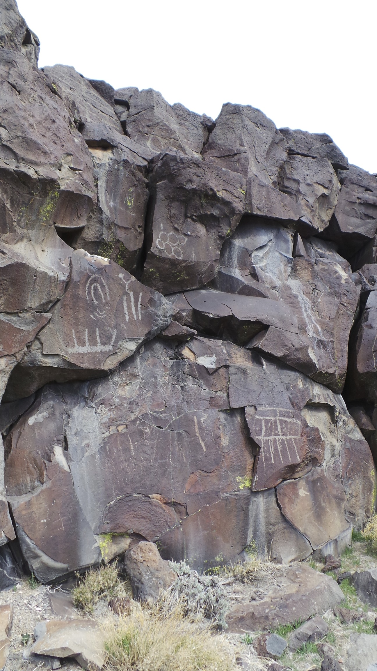 Lagomarsino Petroglyph Site 263.jpg