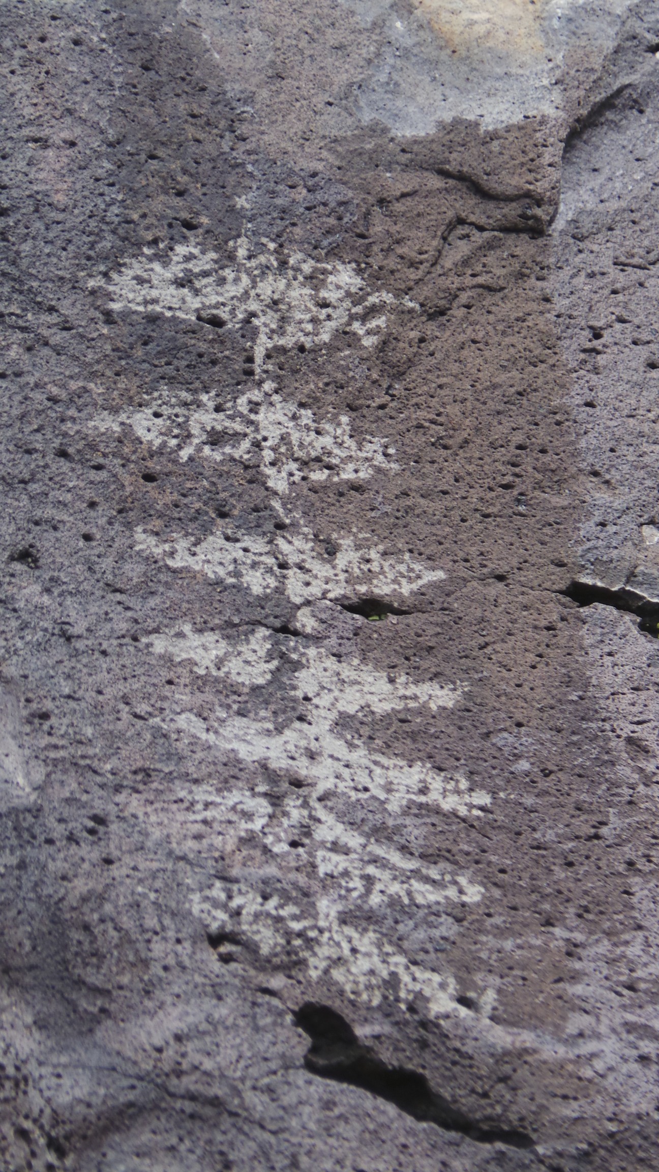 Lagomarsino Petroglyph Site 268.jpg