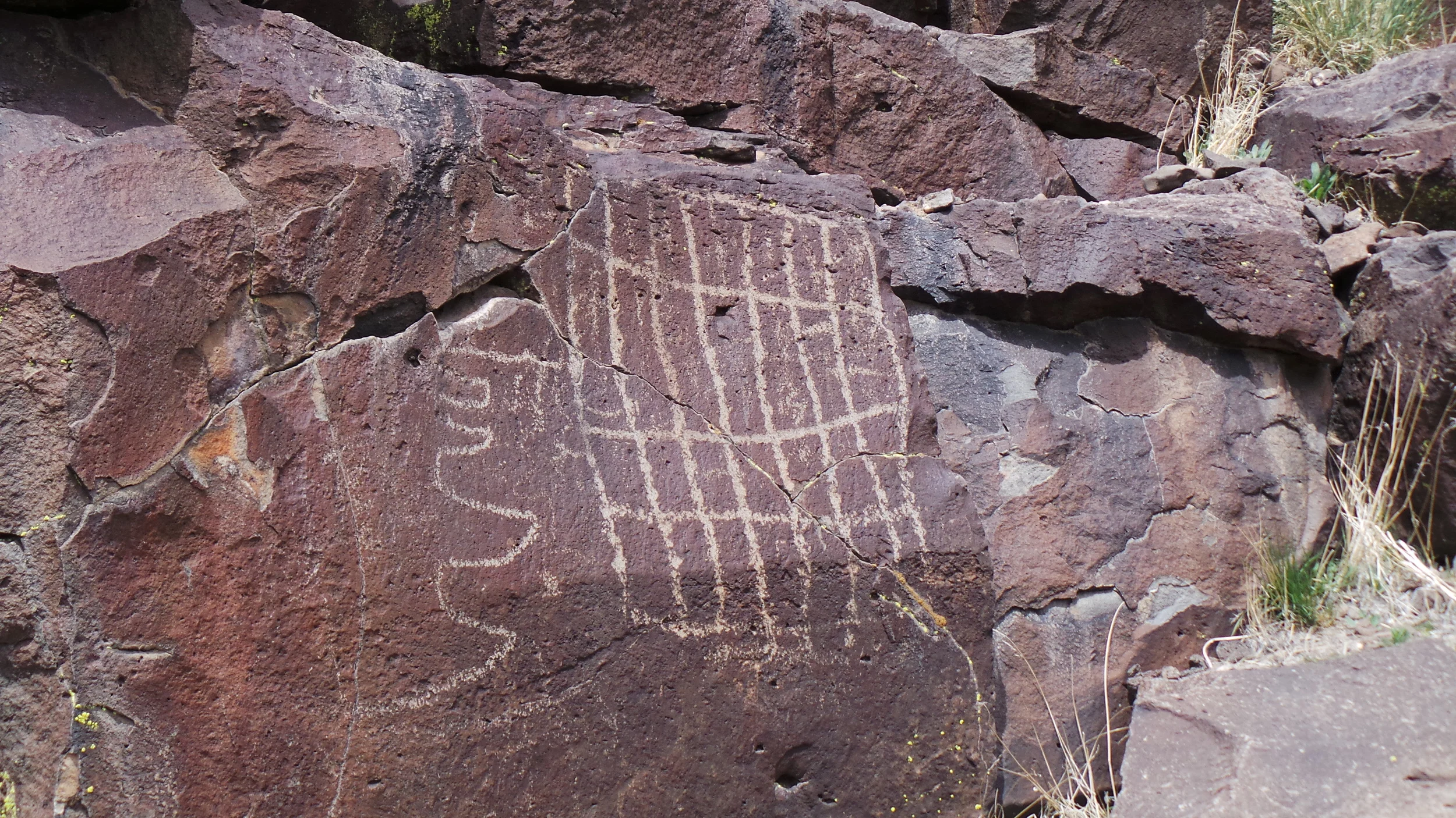 Lagomarsino Petroglyph Site 273.JPG