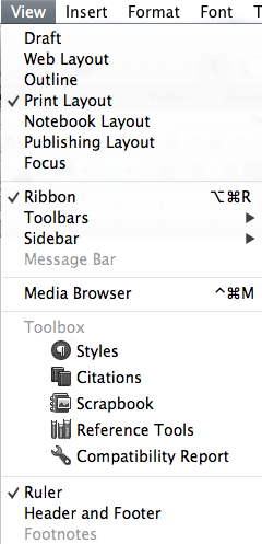 Ruler Menu.png