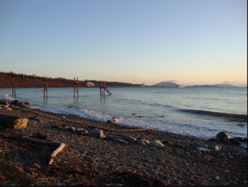 204 cherry-point-site-foreshore.png