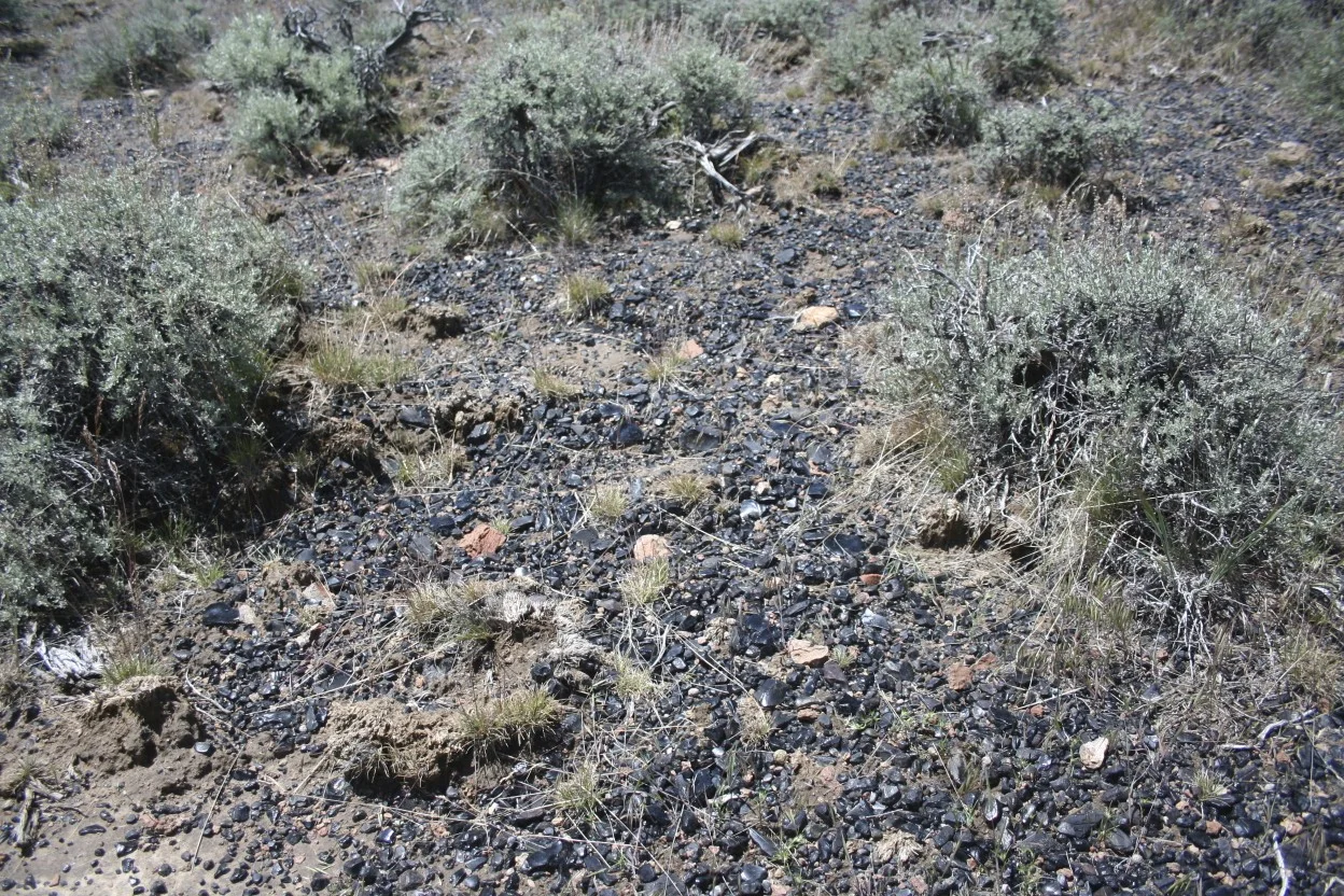 Lithic Landscape: Obsidian in Northwestern Nevada.