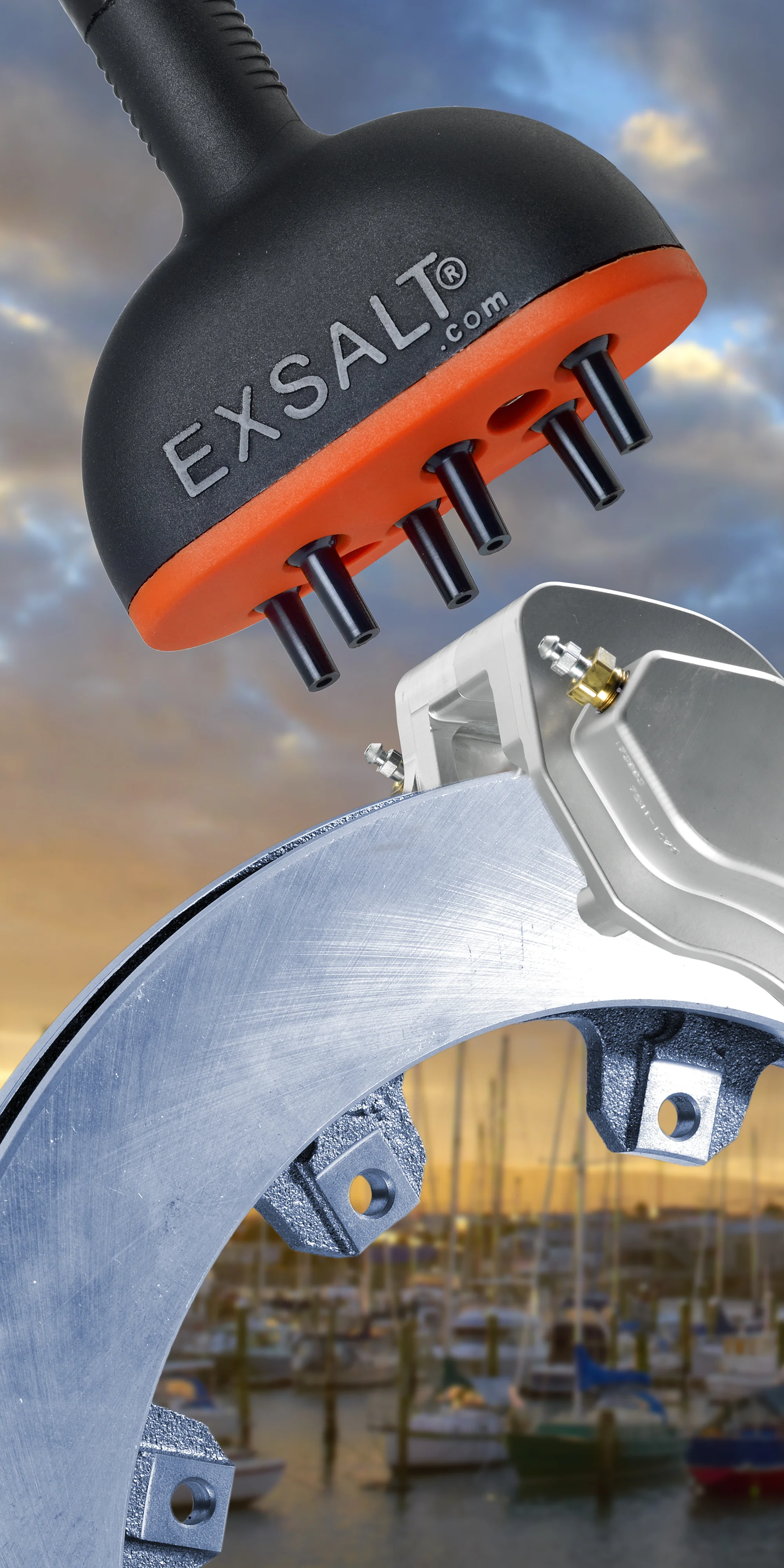 dlflyer6.jpg