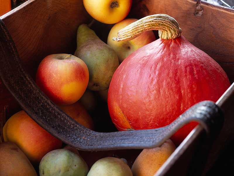 Plentiful Autumnal Harvest