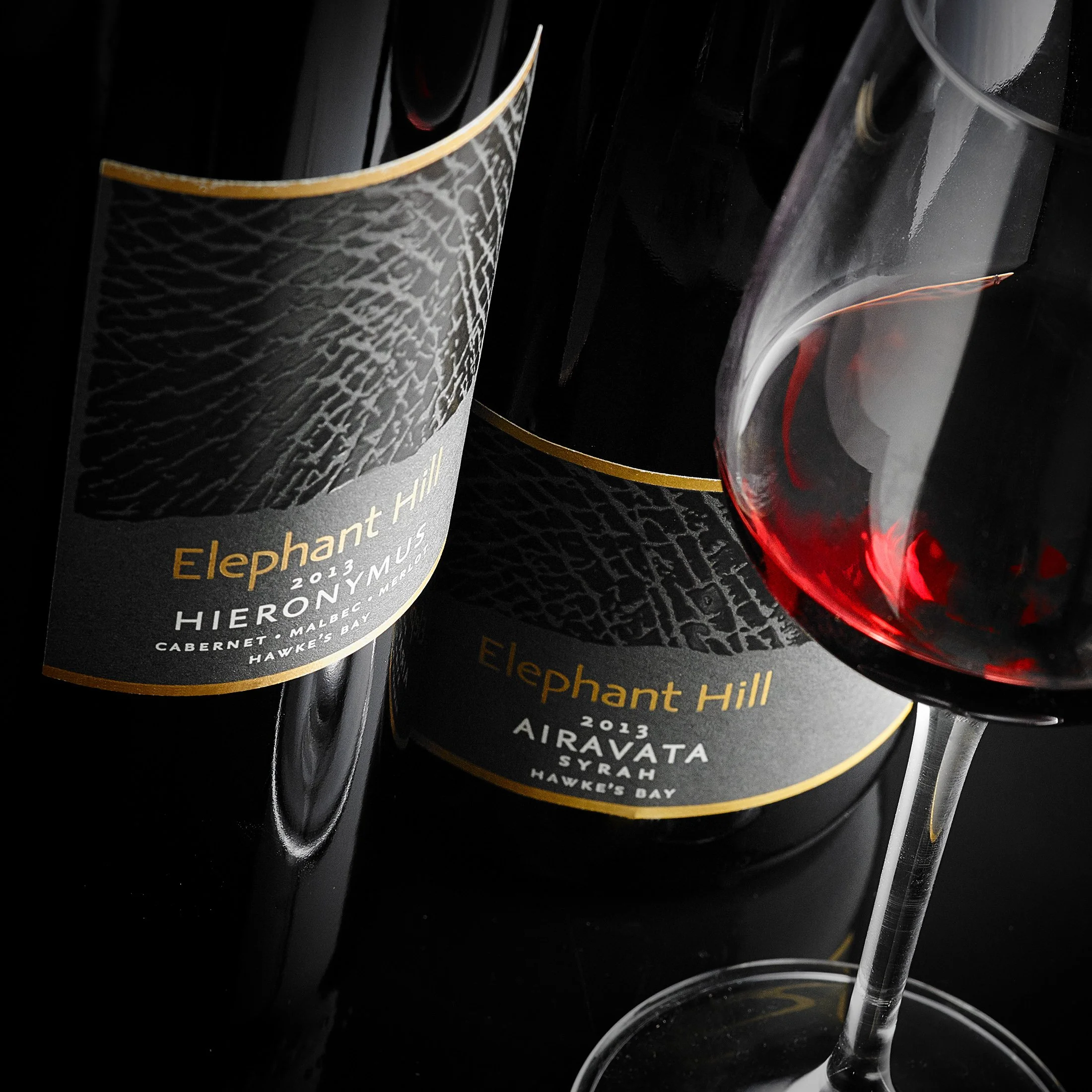 elephanthill-9-6-1514293 copy.jpg