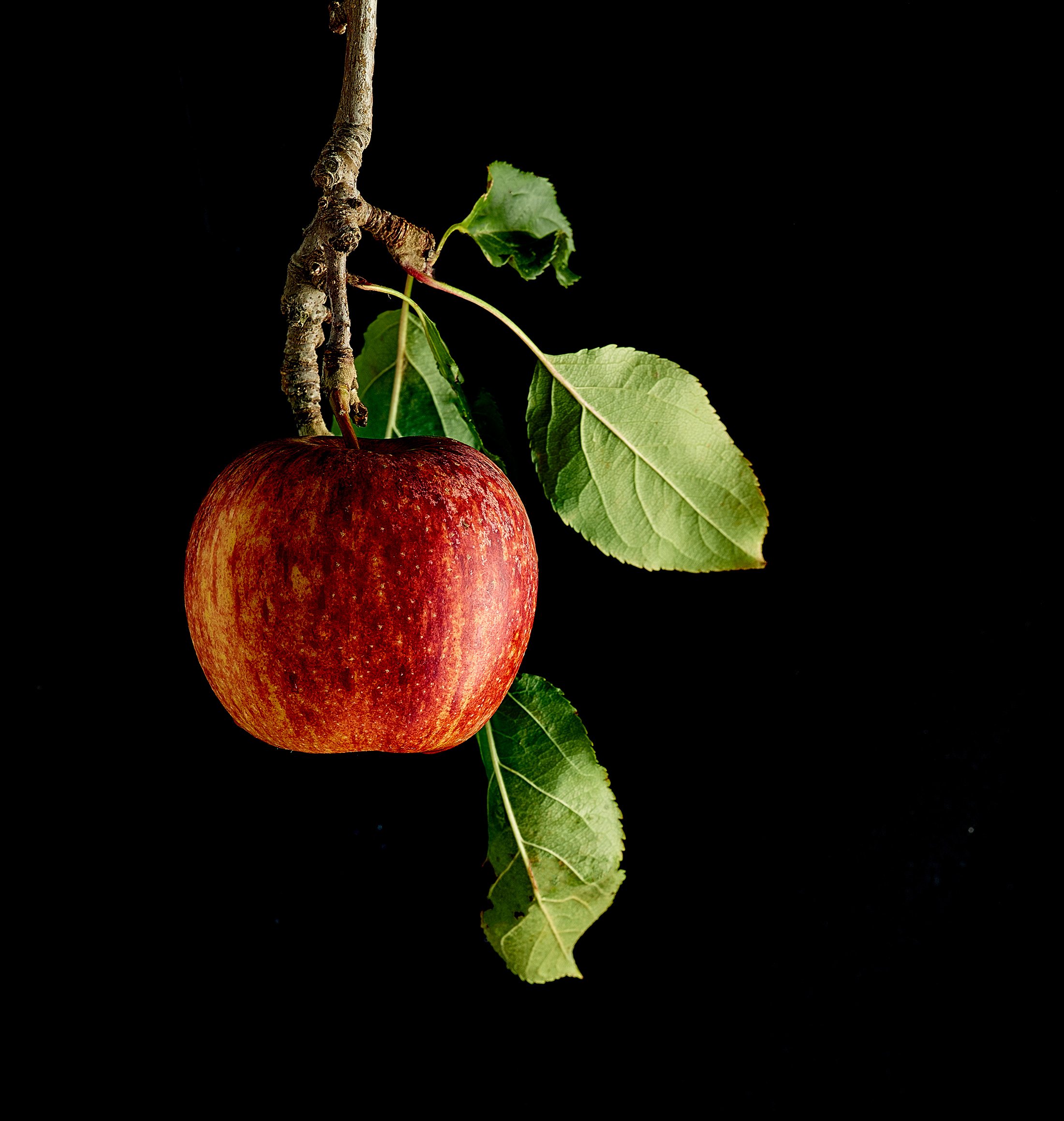 applelabeltest28188.jpg