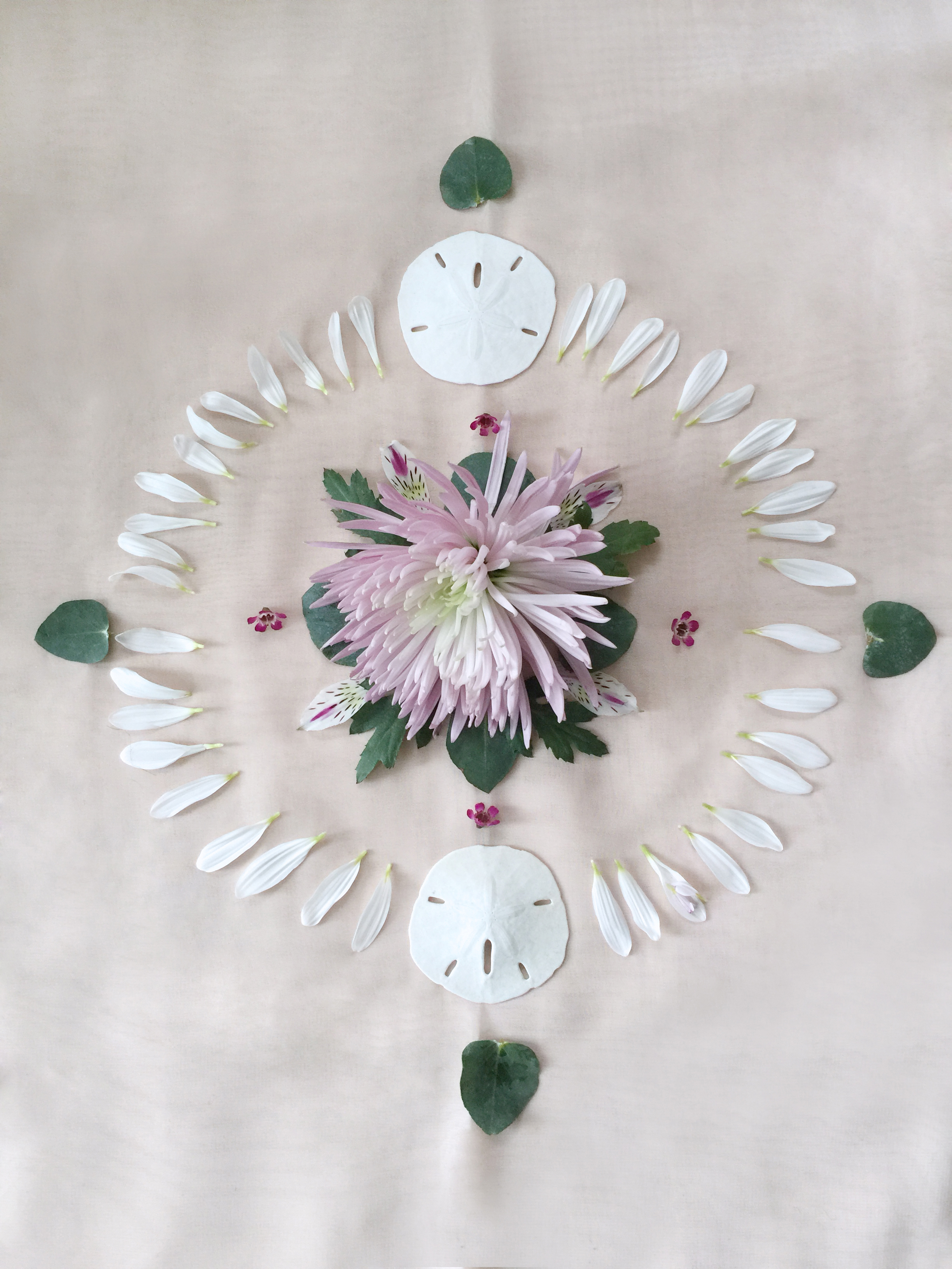 Julie Cimpko - Spending a rainy Sunday creating flower mandalas with a great group of women. Pure BLISS.