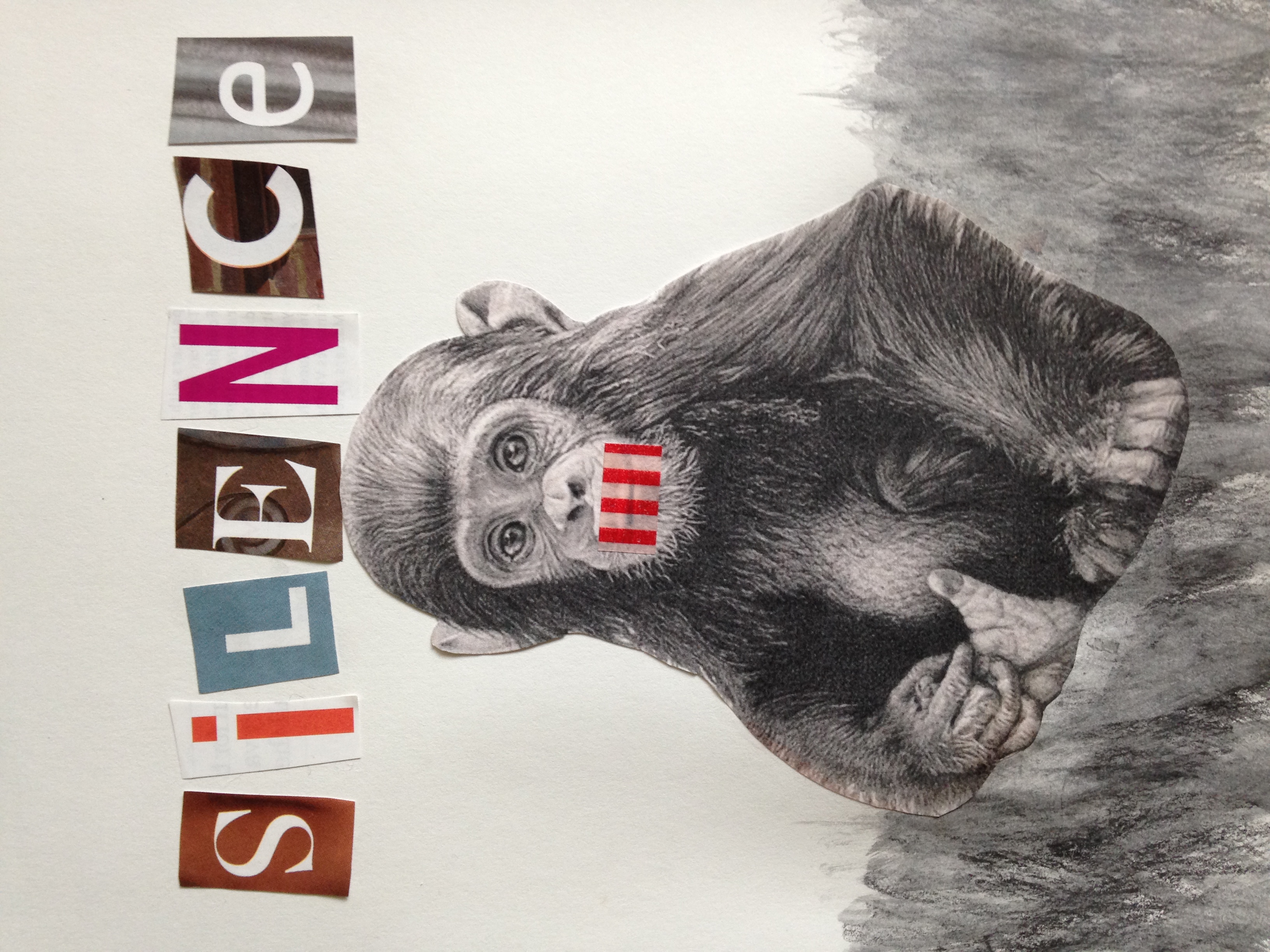 Susan Shepardson - I'm trying to tame my monkey mind by meditating more often. I love this quote by Caroline Myss, "The soul always knows what to do to heal itself. The challenge is to silence the mind.”
