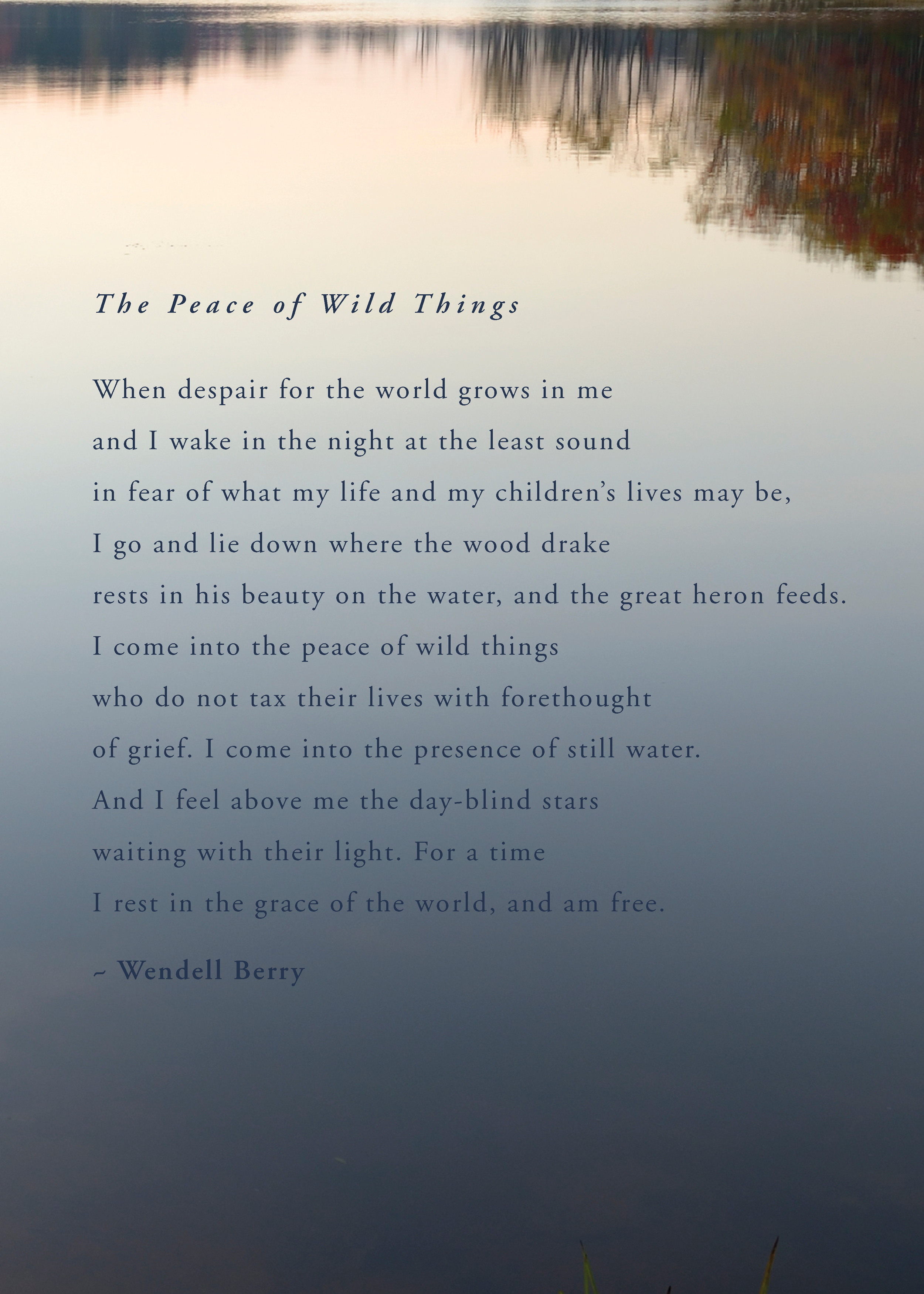 Michelle Larson - This was a poem shared by a dear friend, Dora James. I thought it was perfect for this week's Word of the Week.
