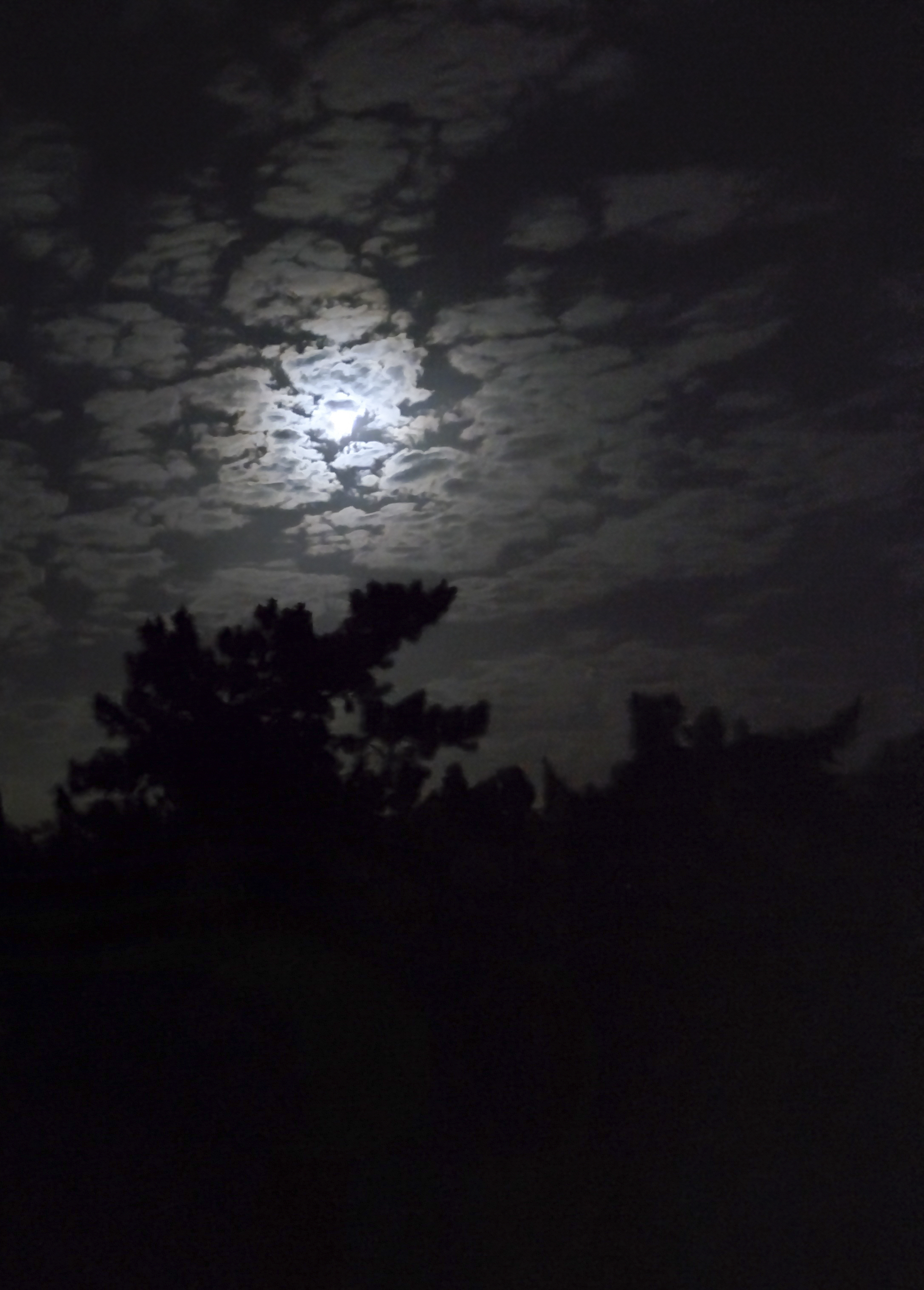 Chelsea Hipley - The night felt peaceful and serene with the beautiful moonlight coming through the clouds. A great ending to another great weekend.