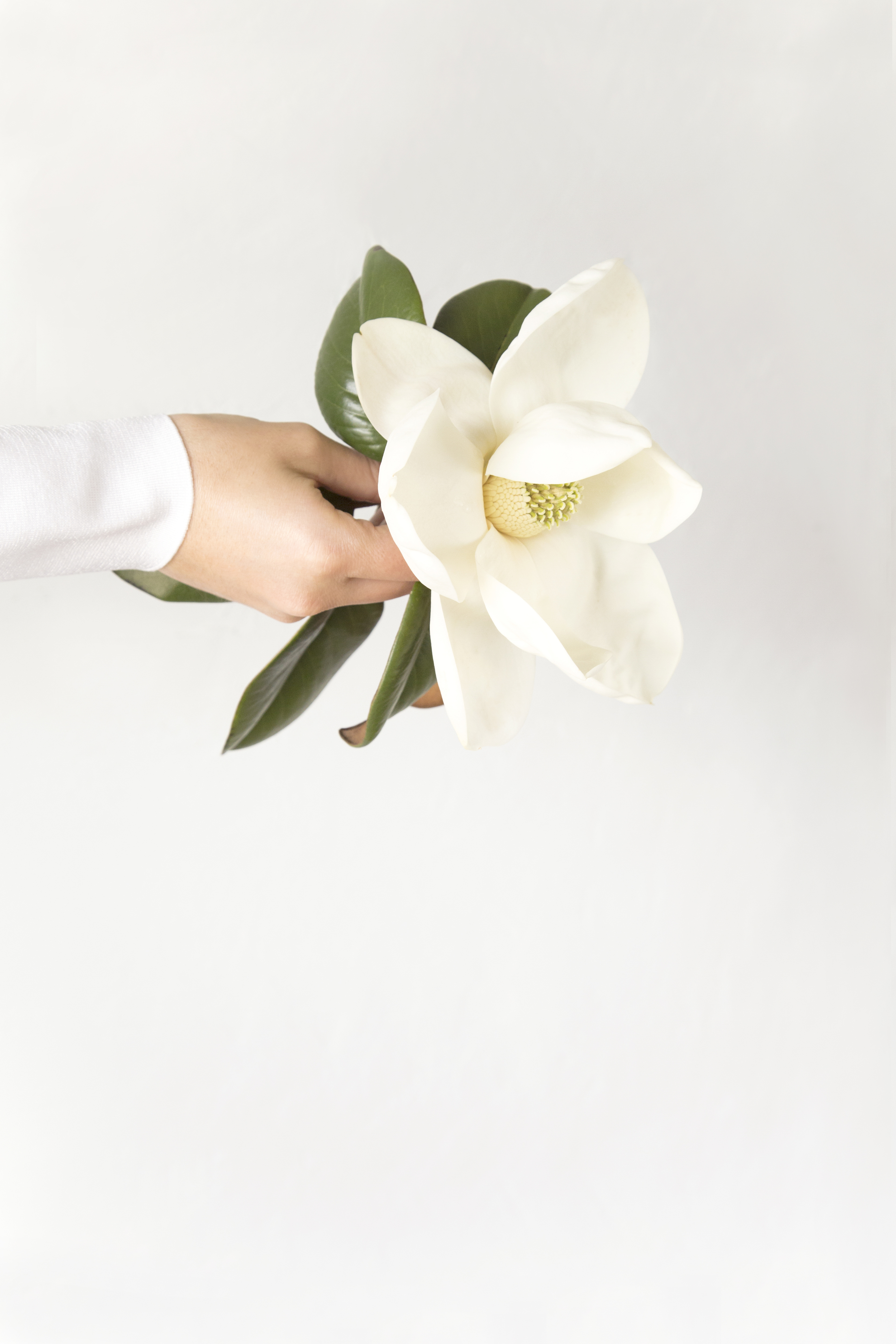 Michelle Larson - My favorite color is white. I love the simplicity, the feeling of clean and serene. It's calming, divine nothingness.