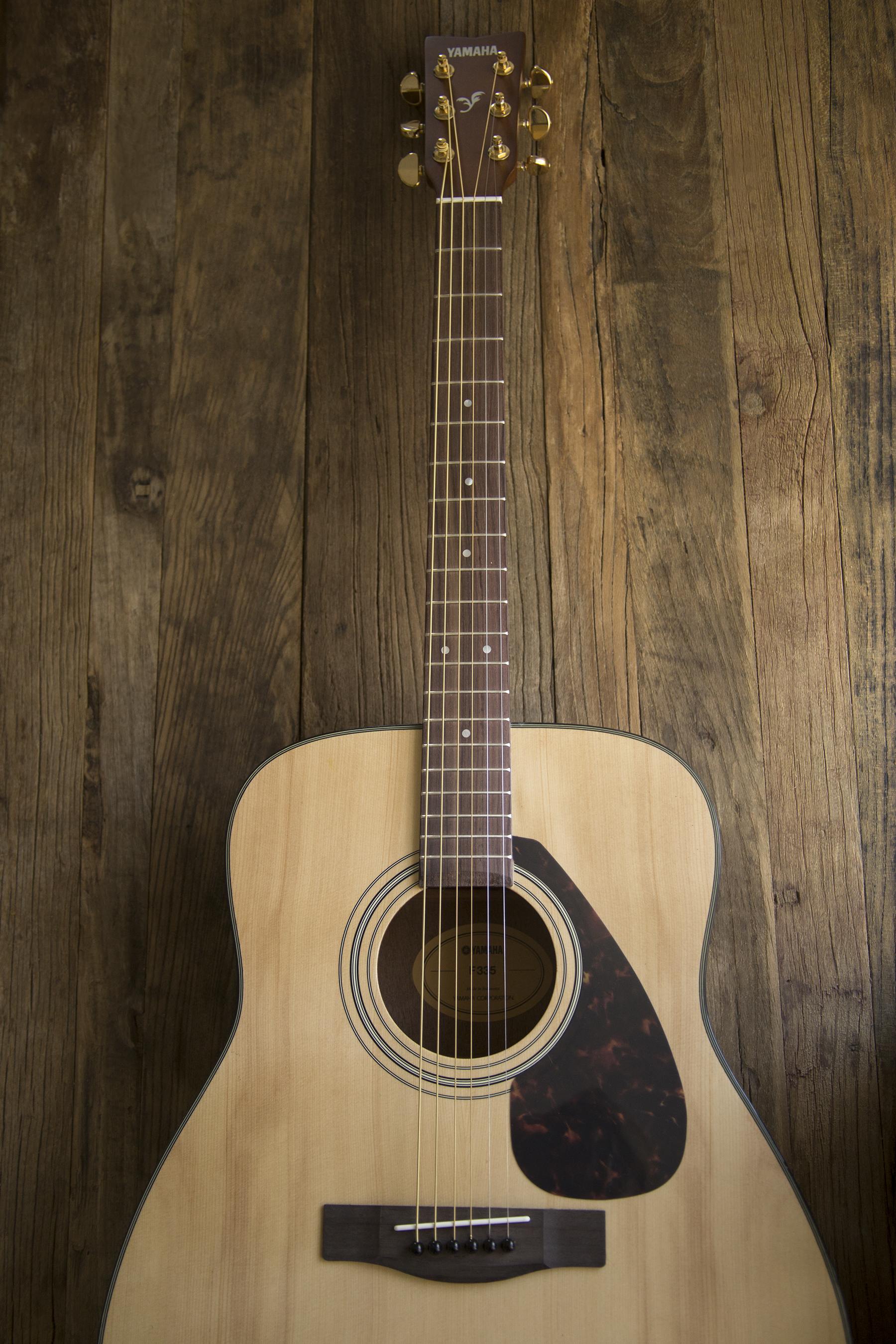 Julie Cimpko - Hoping to create some Harmony with this new guitar : )