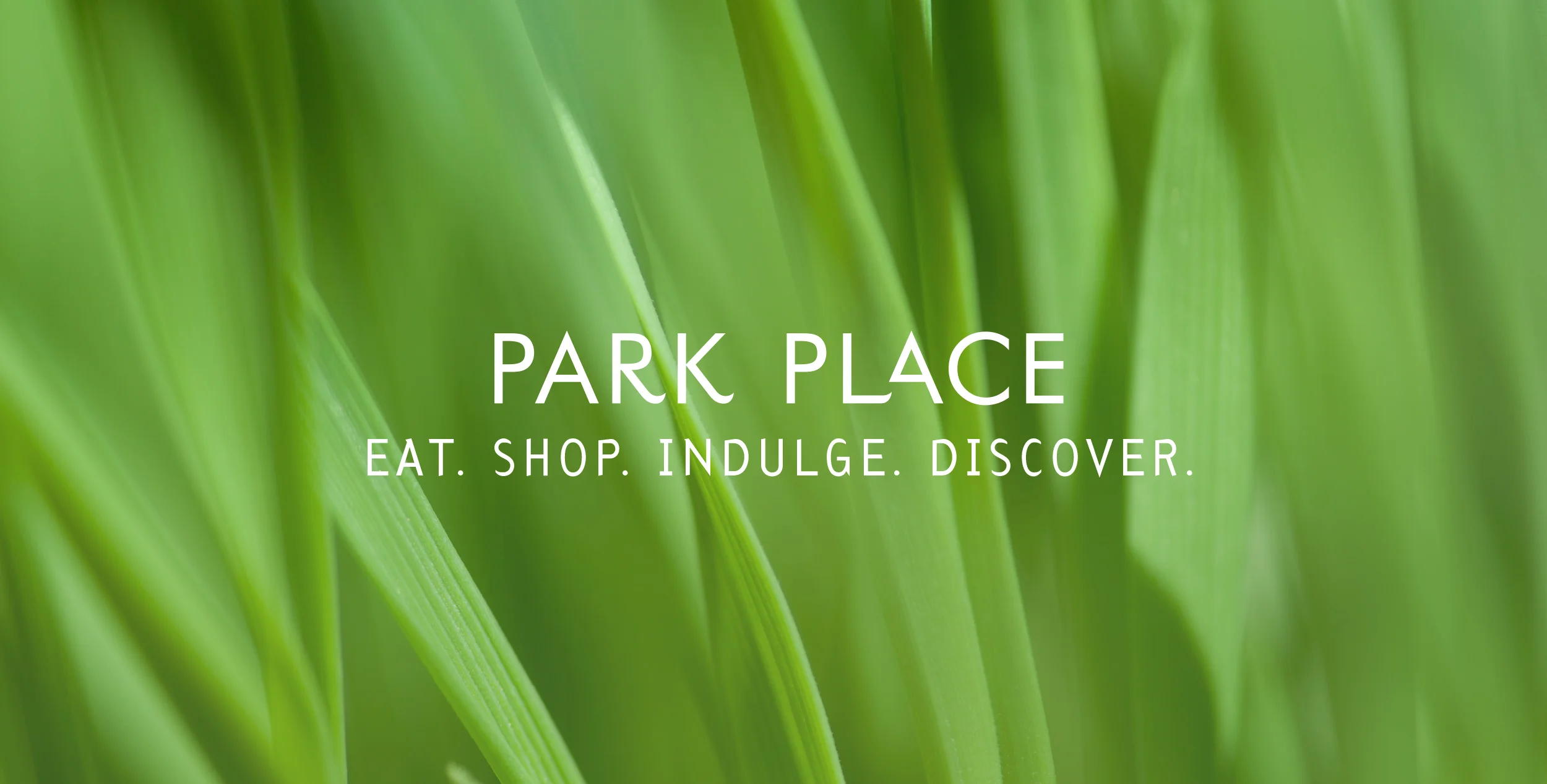 Web_ParkPlace_600px-1.jpg