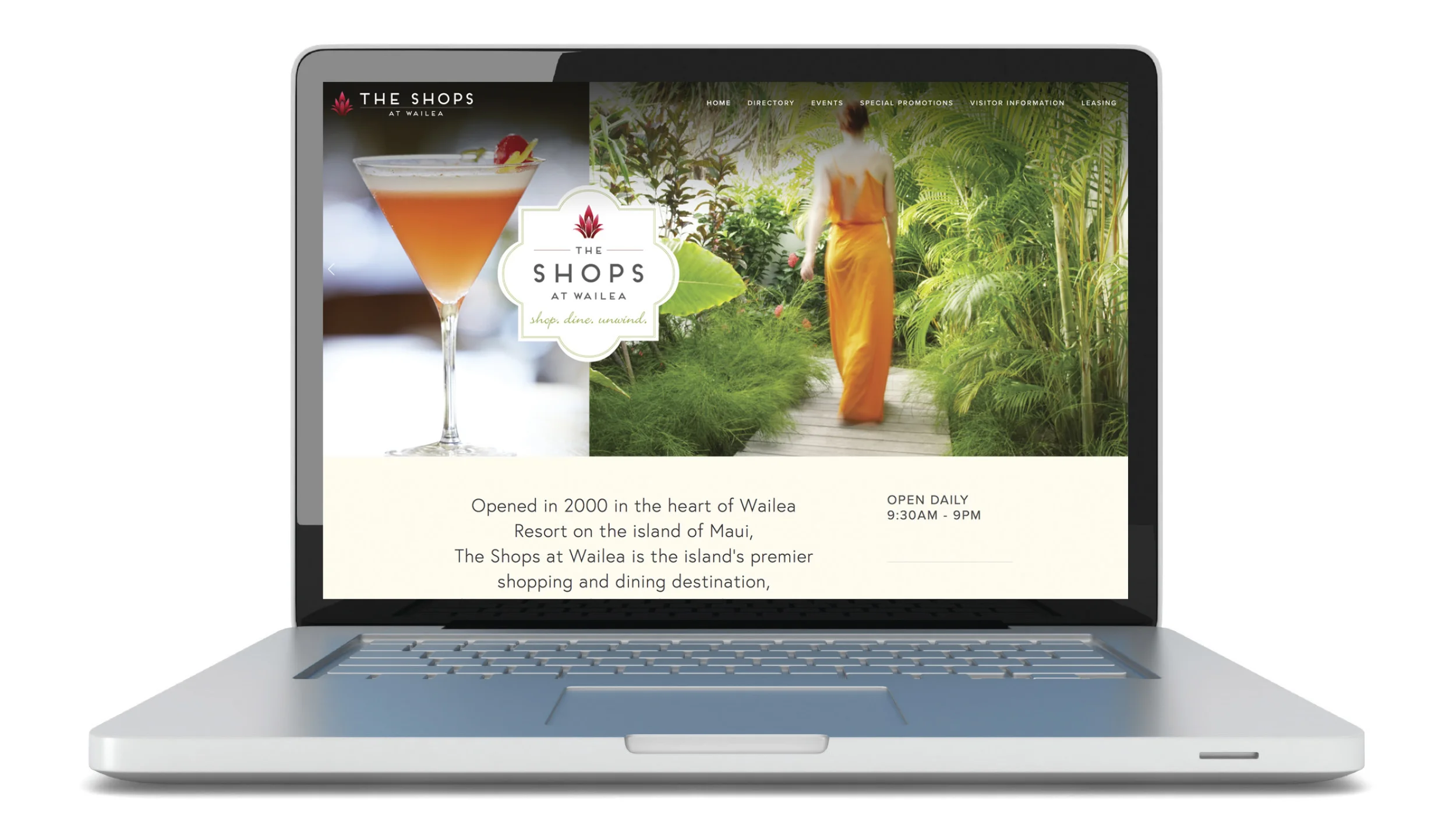WEBSITE