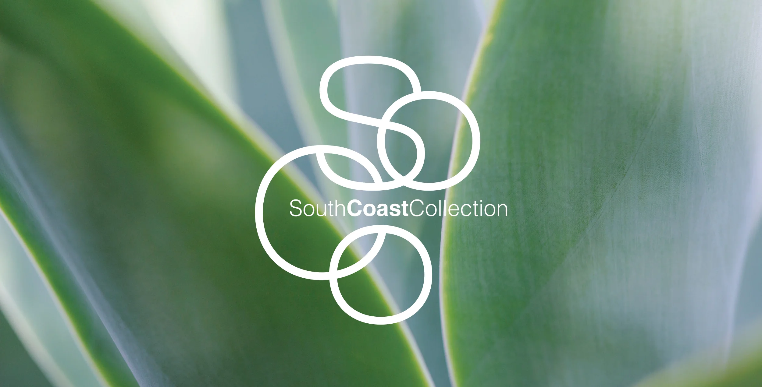 Web_SoCo_600px-header.jpg