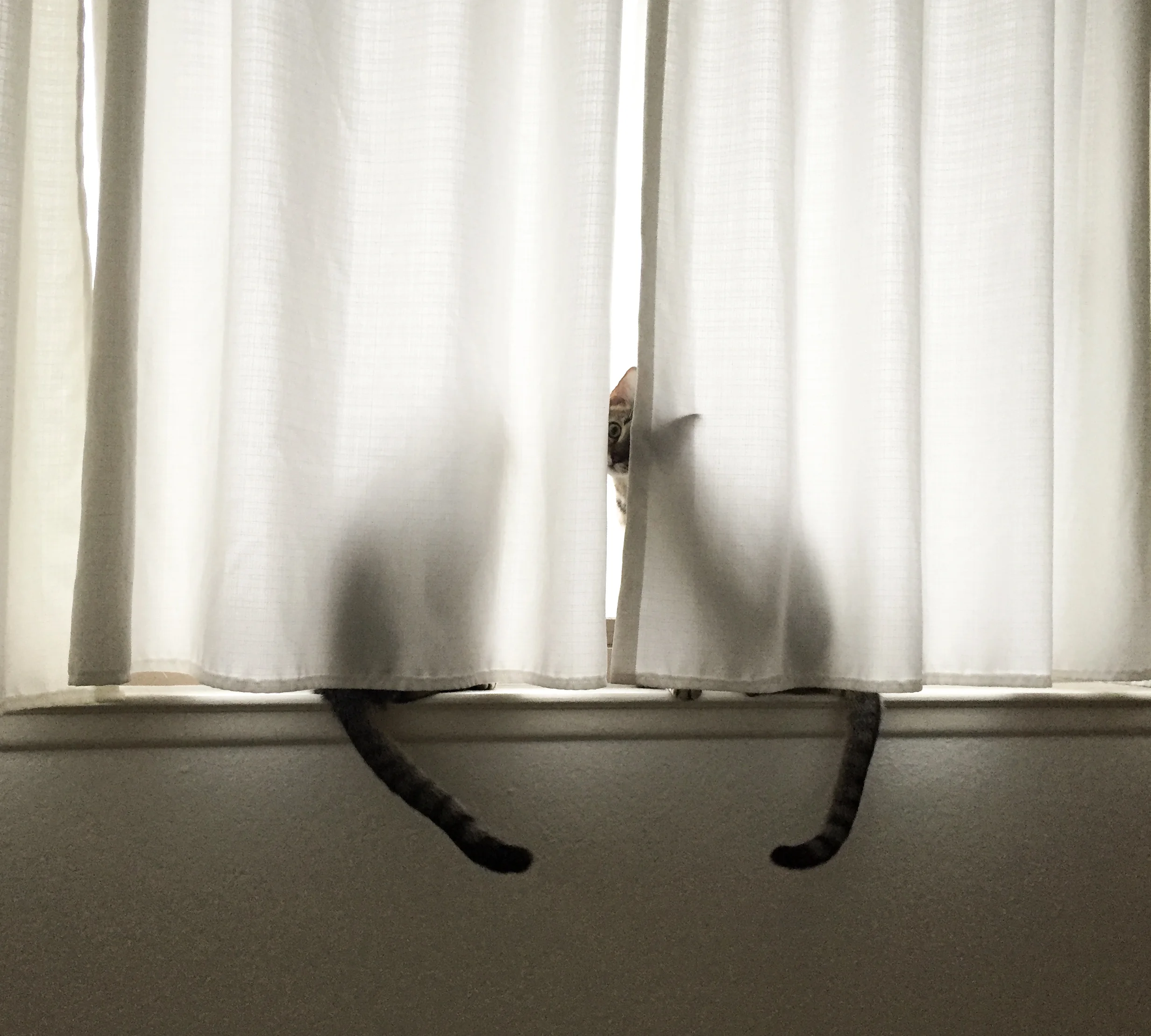 Chelsea Briganti - Well, it hasn’t killed these two yet…