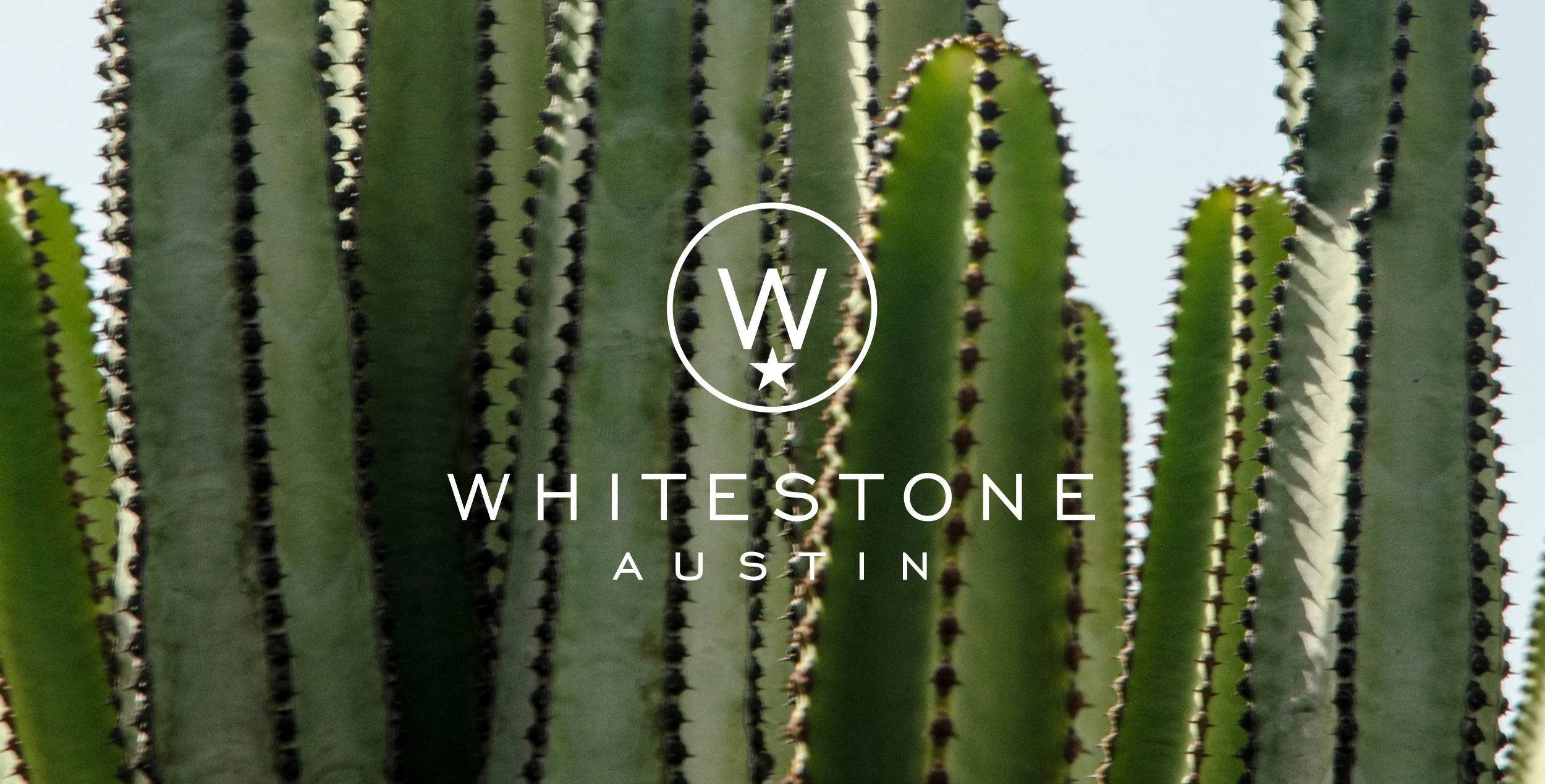 Web_Whitestone_600px2-header2.jpg