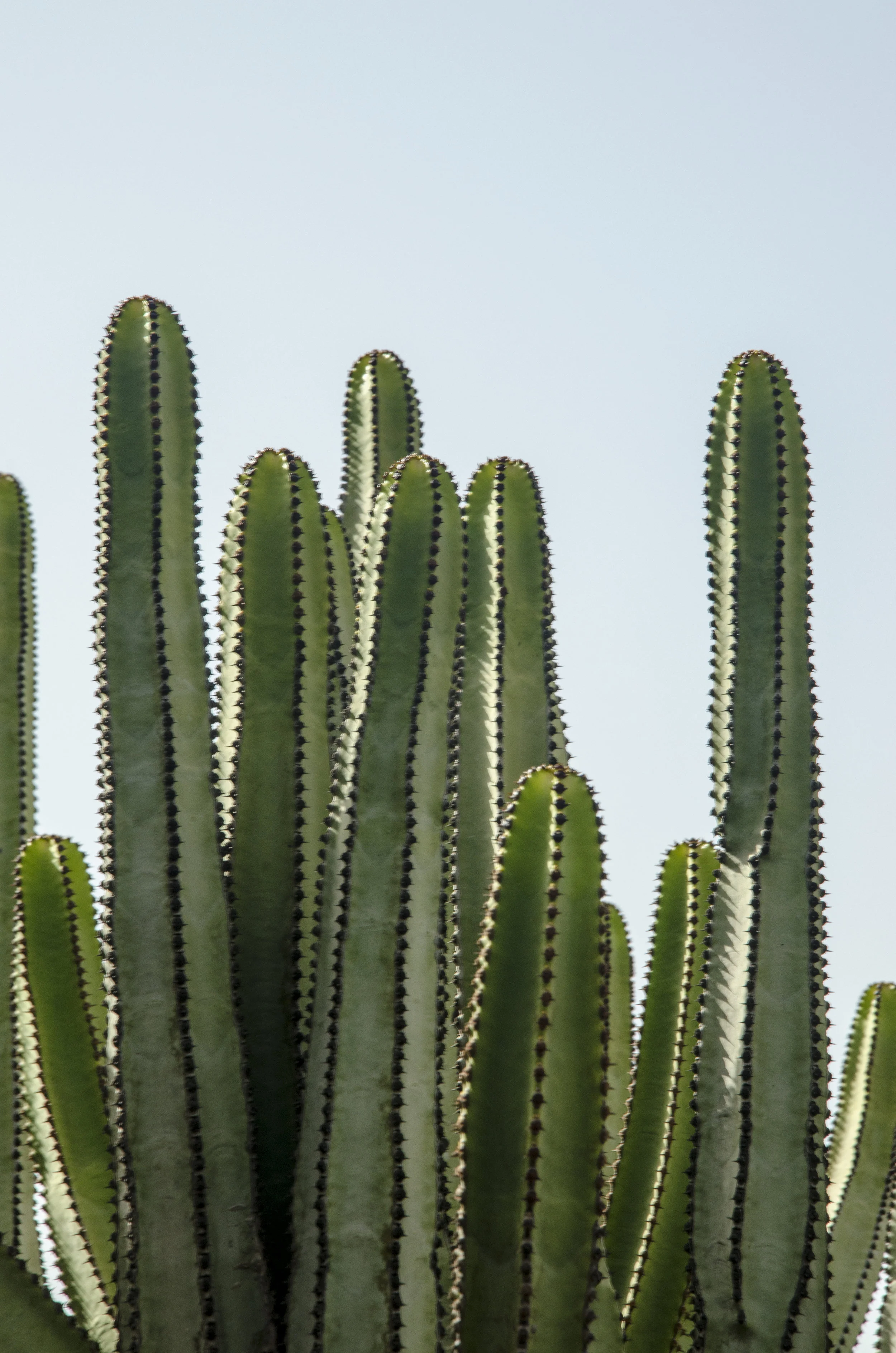 iStock-501567816.jpg