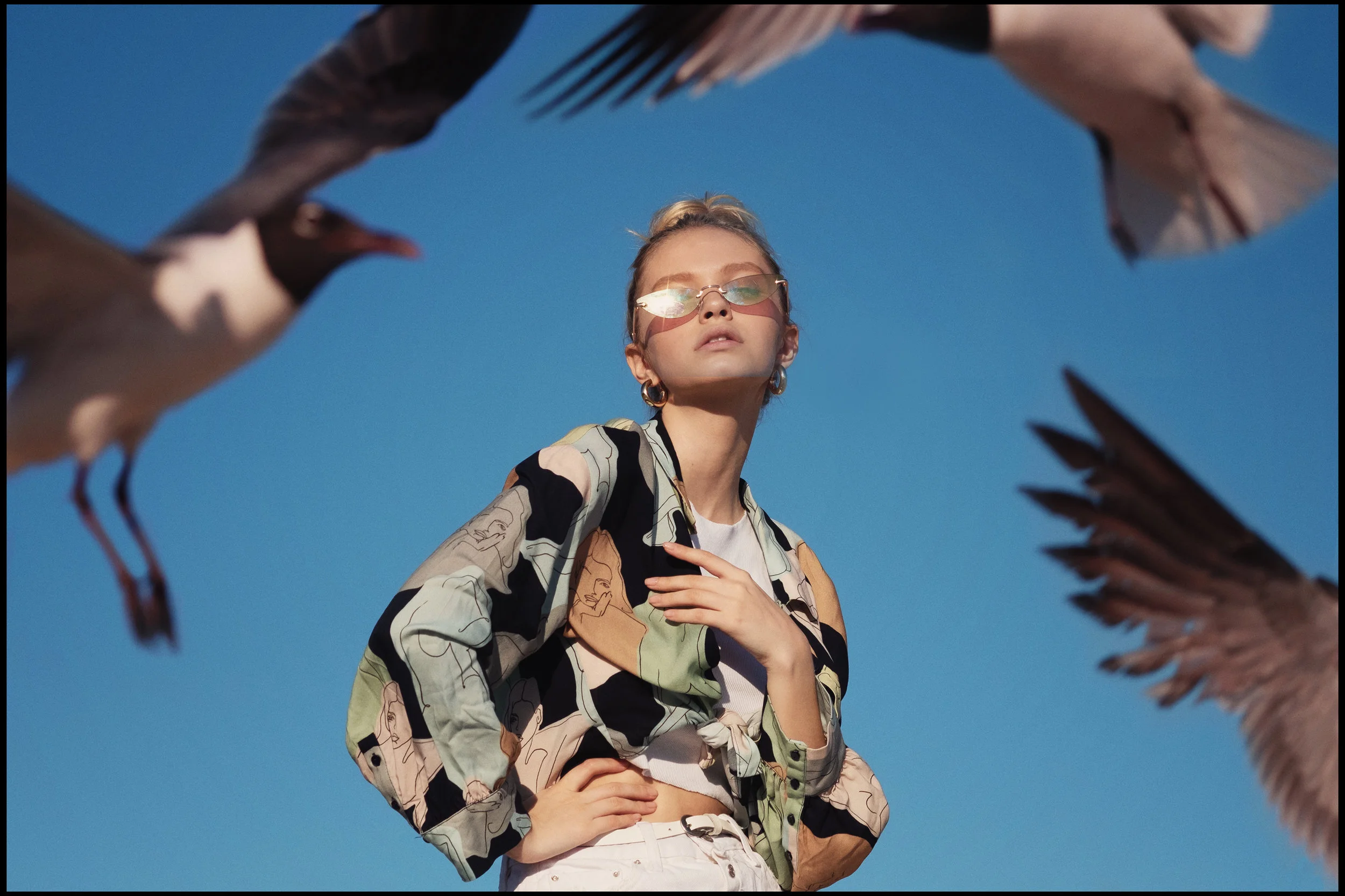 flock5_small.jpg