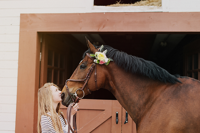 horse-stables-fonthill-041.jpg