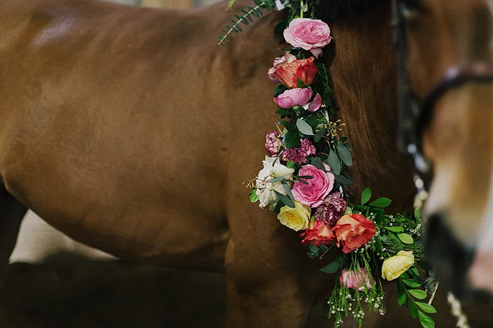 horse-stables-fonthill-092.jpg
