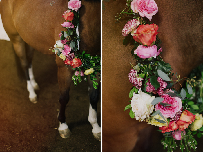 horse-stables-fonthill-09496.jpg