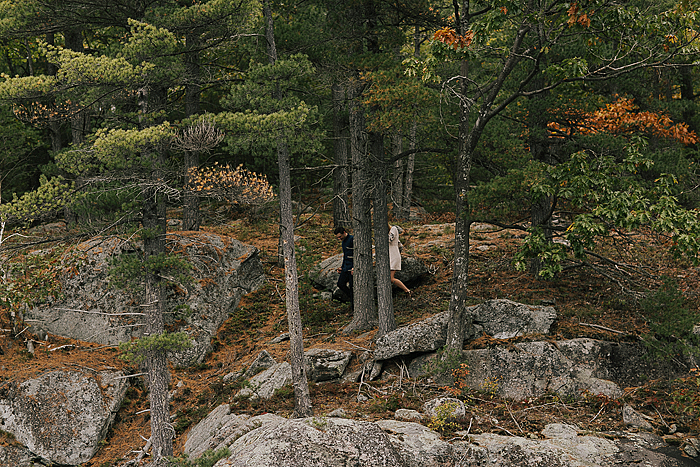 richelle-and-justin-muskoka-engagement-033.jpg