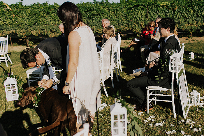matt-and-erin-vineyard-wedding-162.jpg