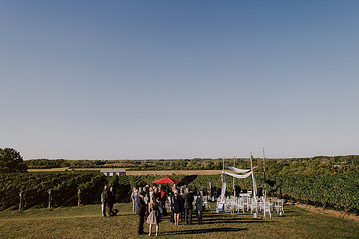 matt-and-erin-vineyard-wedding-206.jpg