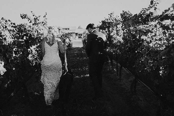 matt-and-erin-vineyard-wedding-245.jpg