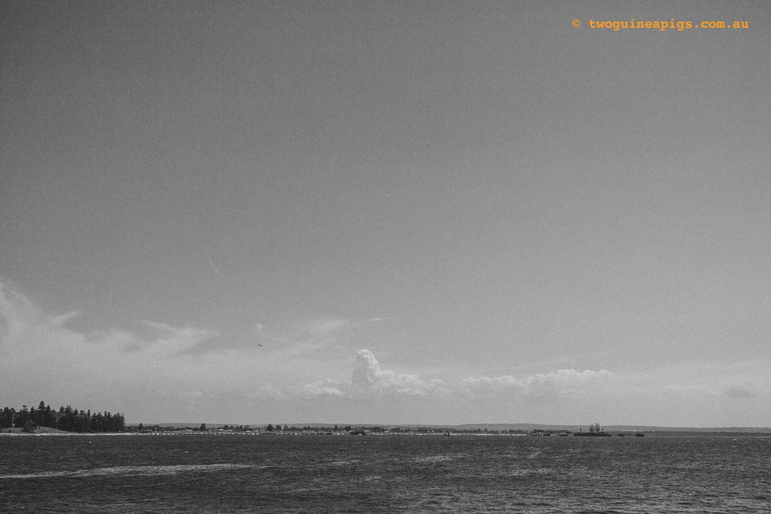 twoguineapigs_laperouse_2013-squarespace_sea.jpg