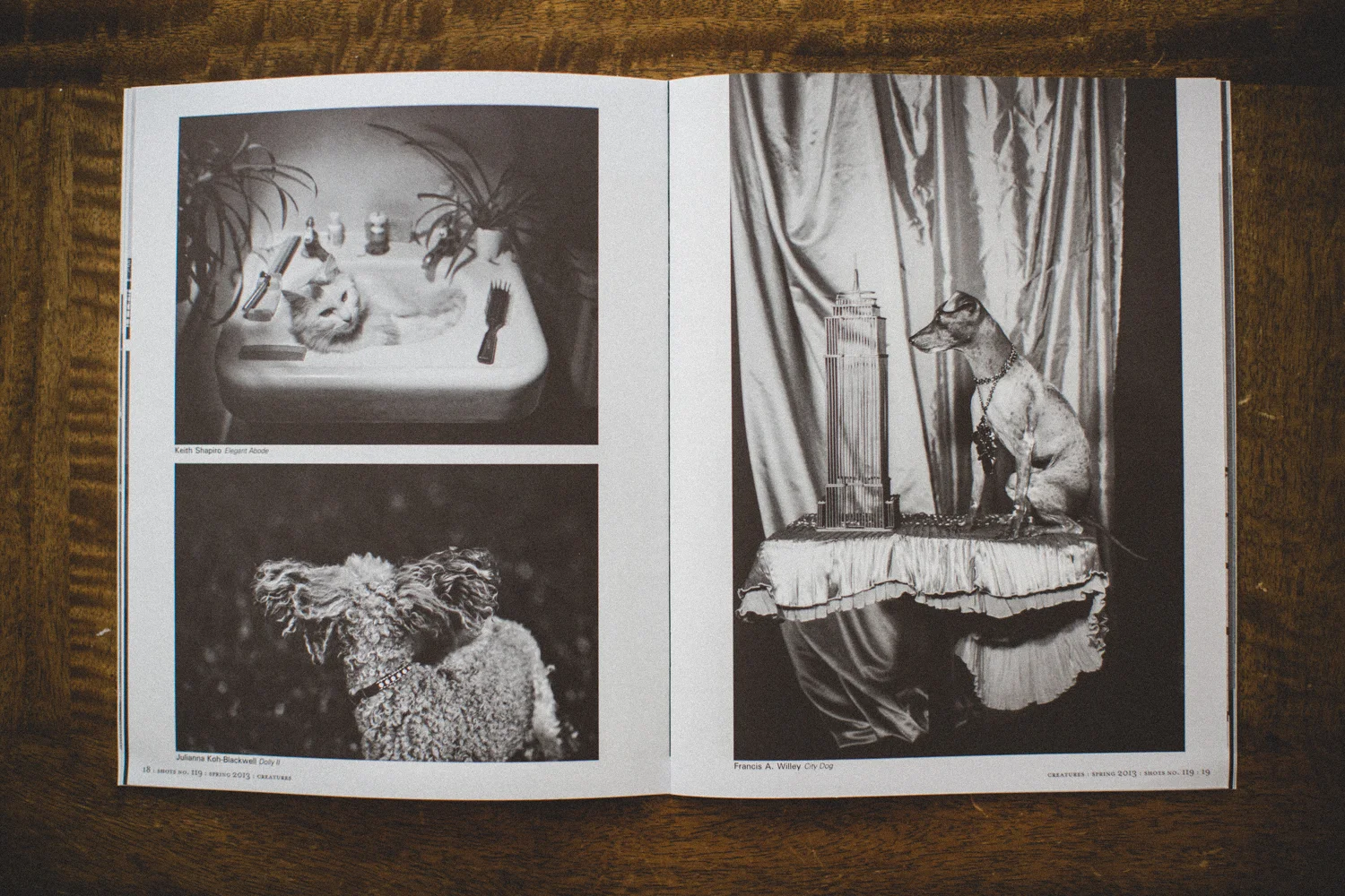 Dolly II , (bottom left), pg 18, SHOTS Magazine, No. 119 by Julianna Koh-Blackwell.