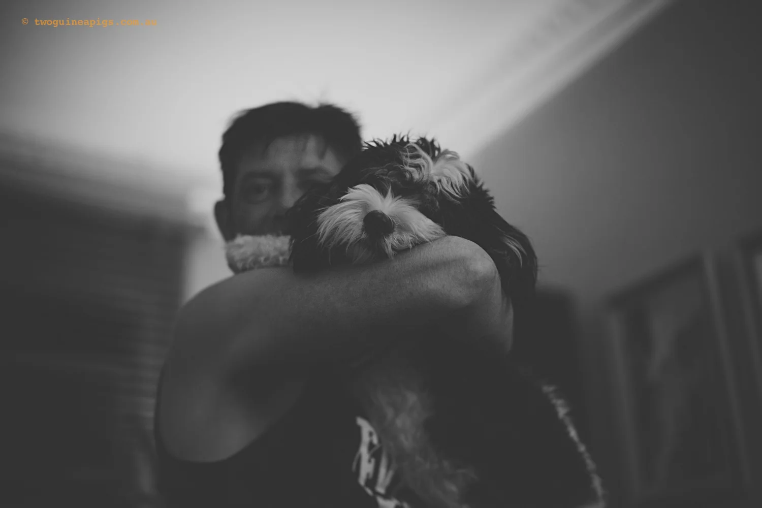 twoguineapigs_robert-benardo-9.jpg