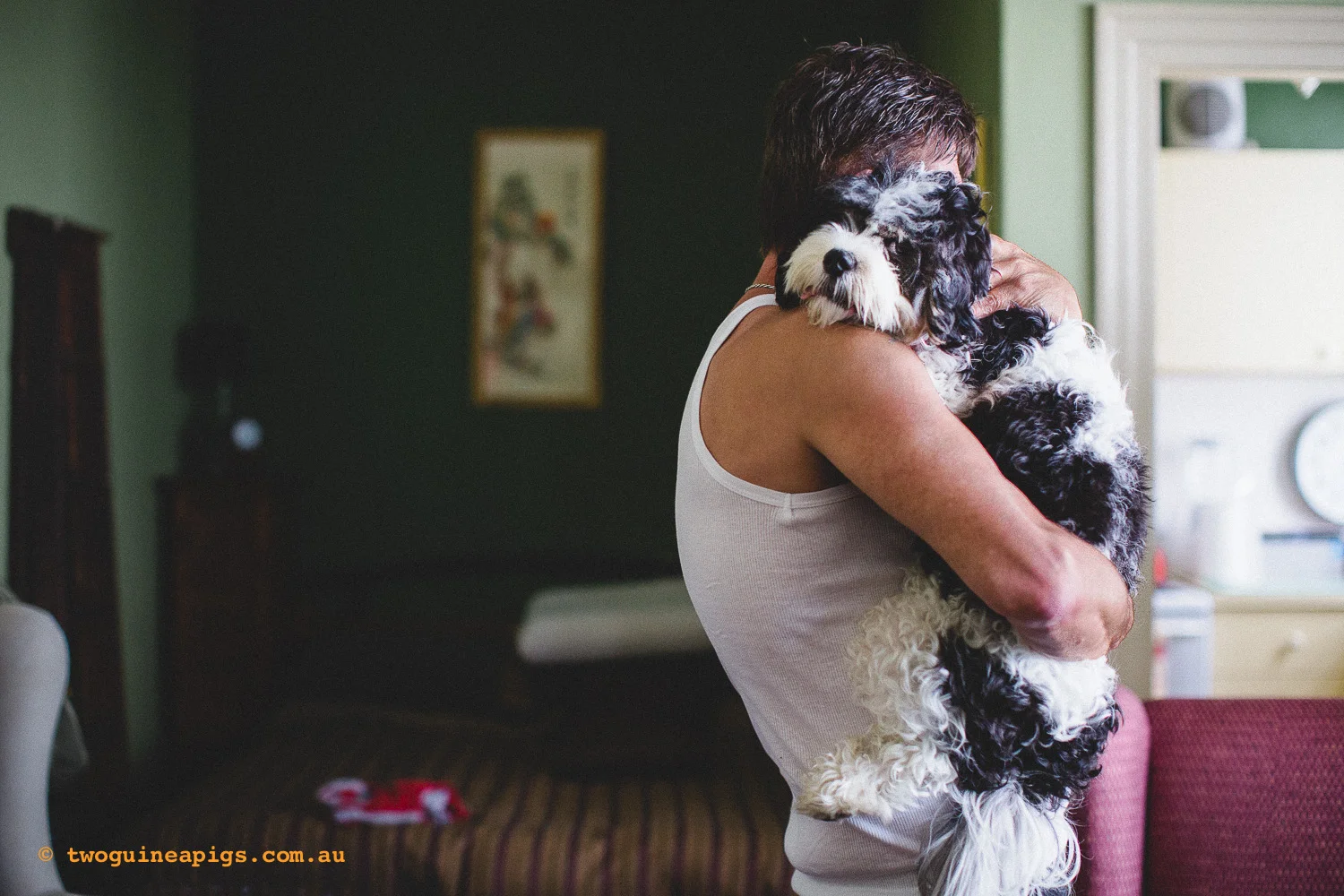 twoguineapigs_benard-squarespace.jpg