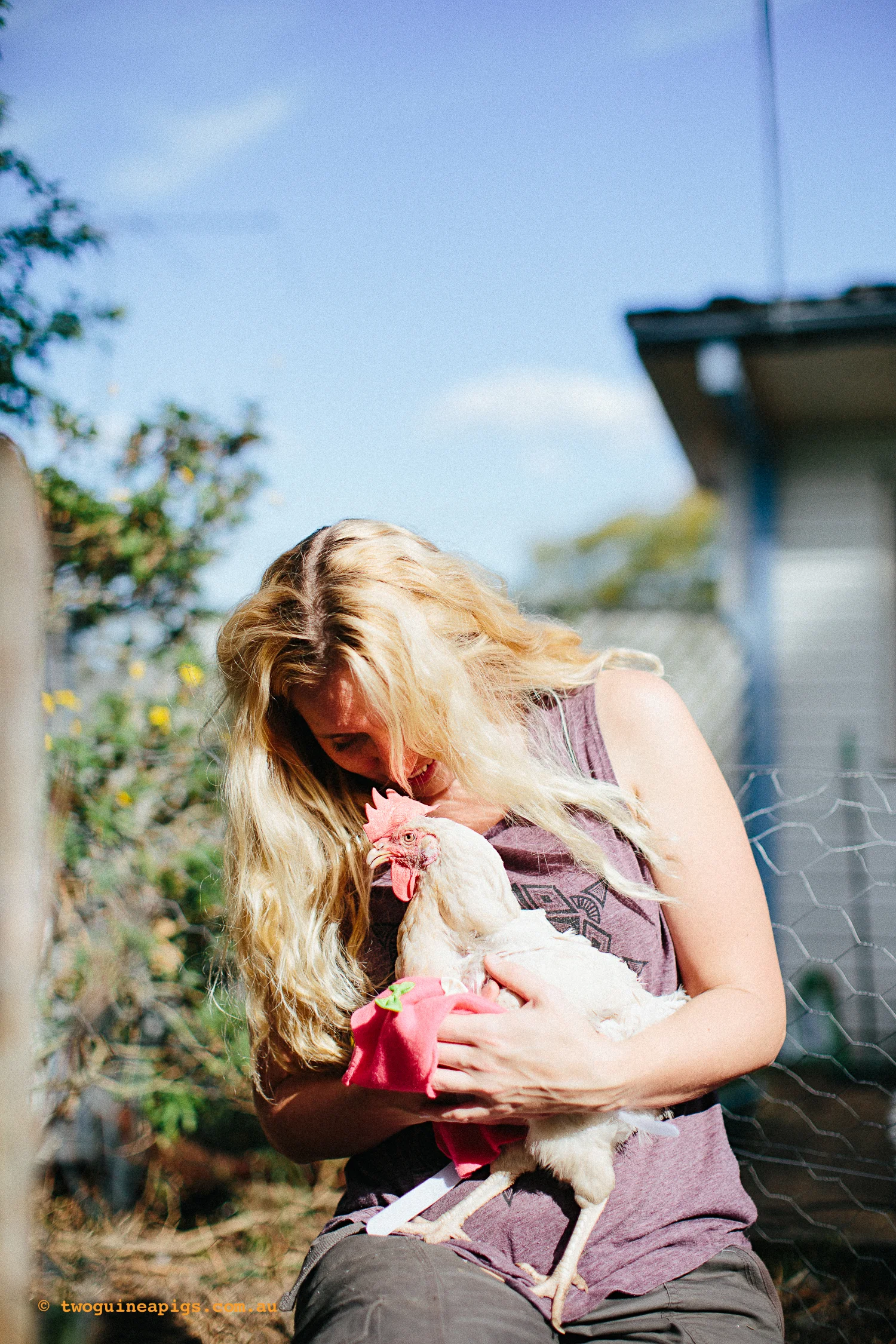 twoguineapigs_nswhenrescue_doco_1500-14.jpg
