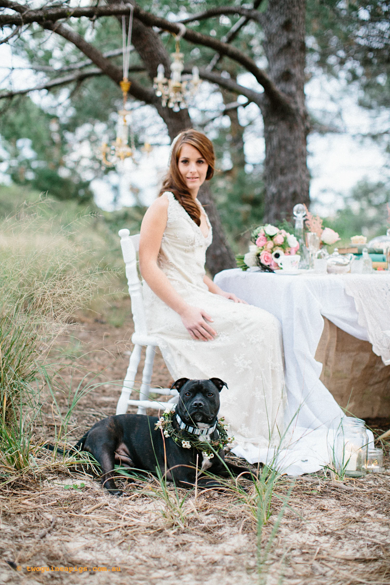 twoguineapigs_brideNdog_1500-2.jpg