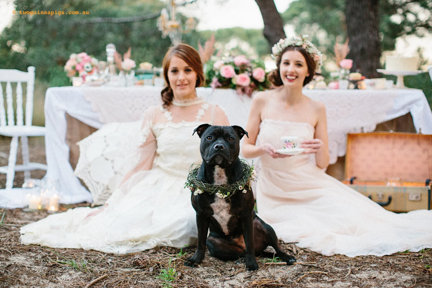 twoguineapigs_bridendog_styled_1500-37.jpg