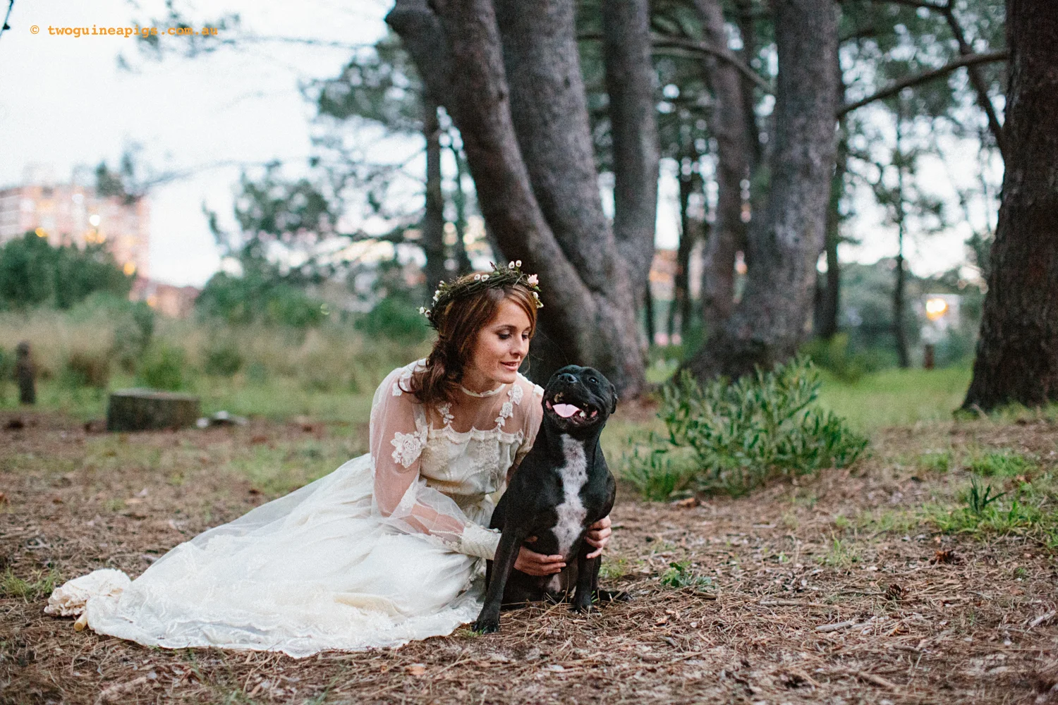 twoguineapigs_bridendog_styled_1500-55.jpg