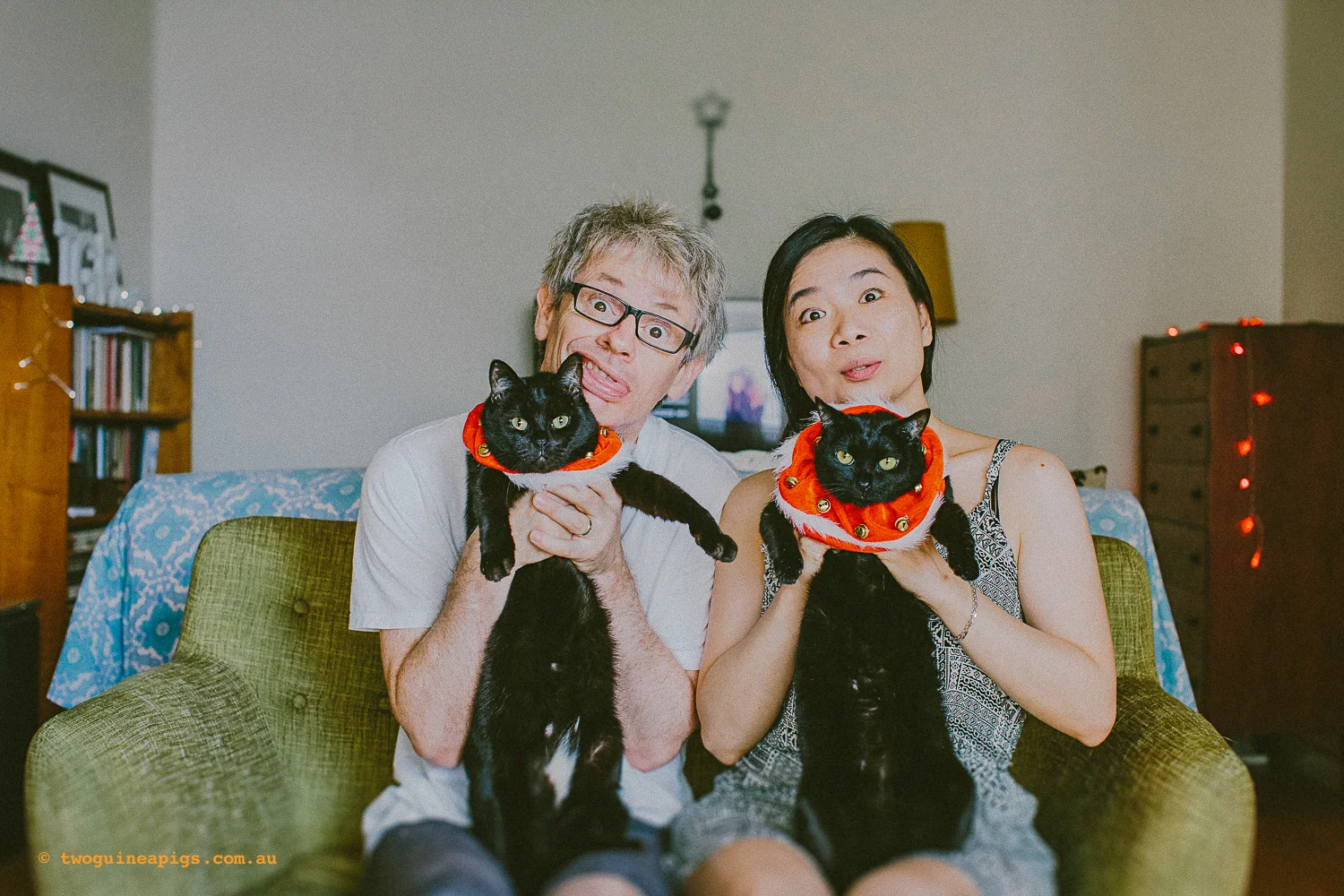 twoguineapigs_christmas_in_potts_point_1500-12.jpg