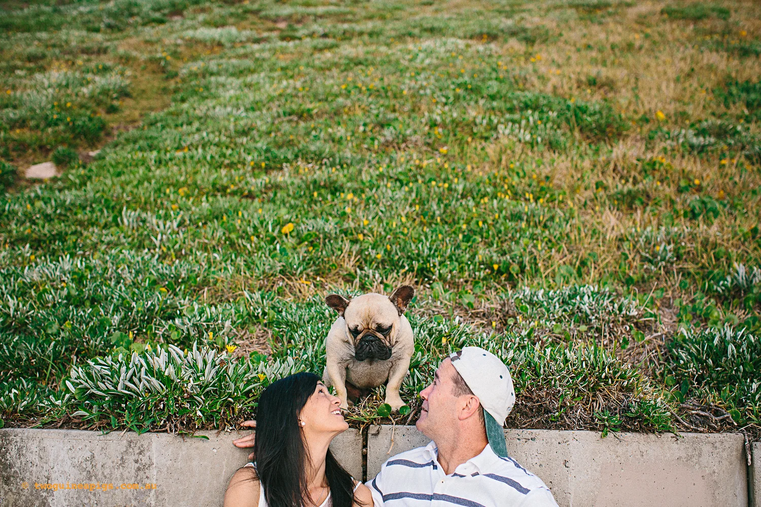 twoguineapigs_pompom_french_bulldog_cronulla_1500-27.jpg