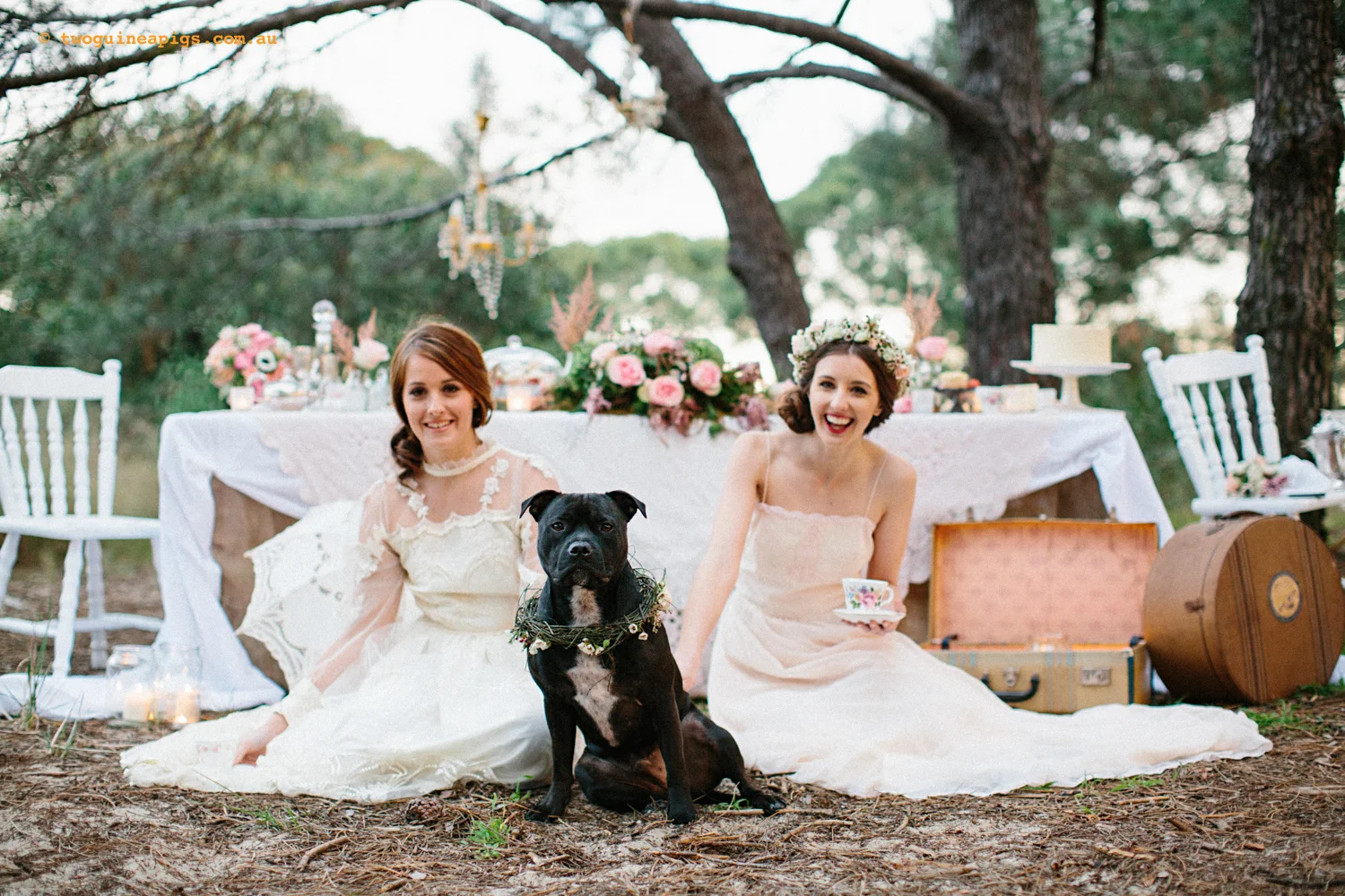 twoguineapigs_bridendog_styled_1500-36.jpg