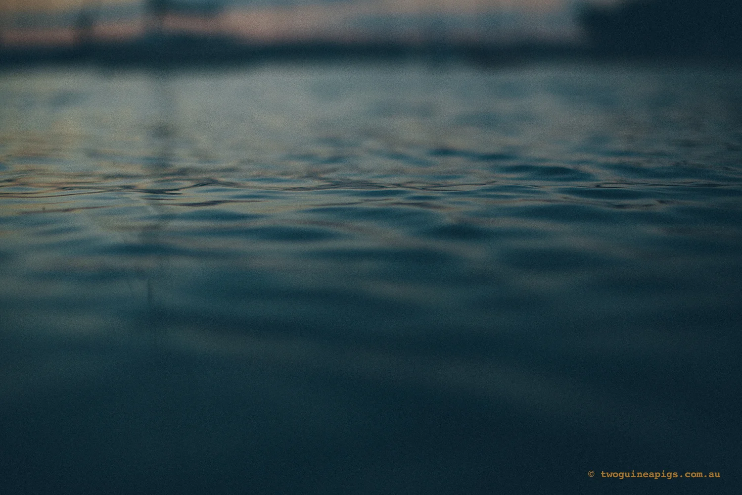 twoguineapigs_sunset_spring_water_1500-4.jpg