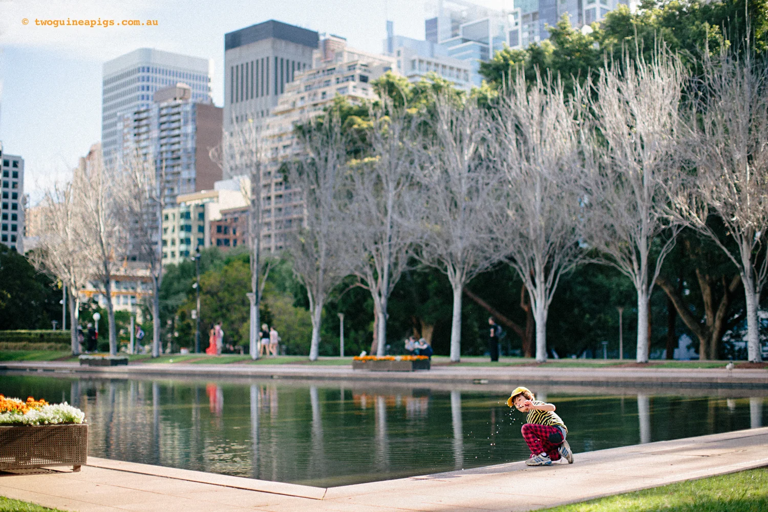 twoguineapigs_boy_hydepark_1500.jpg