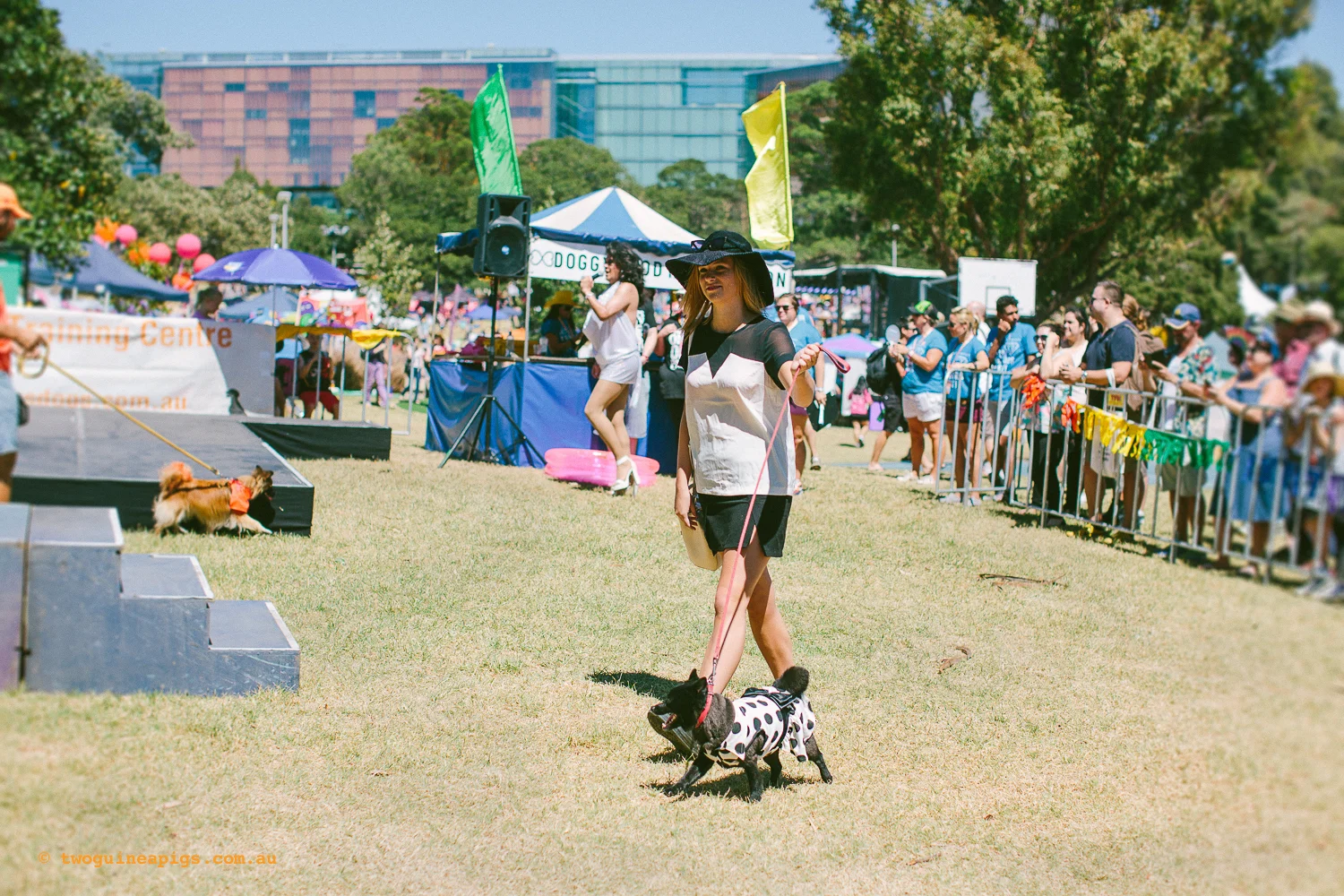 twoguineapigs_fair_day_2014_1500-19.jpg