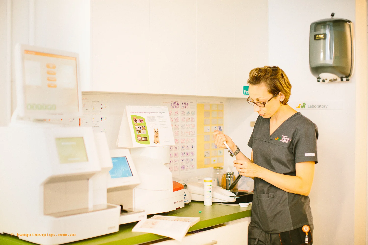 twoguineapigs_ppvh_laboratory_pet_photographer_1500-3.jpg