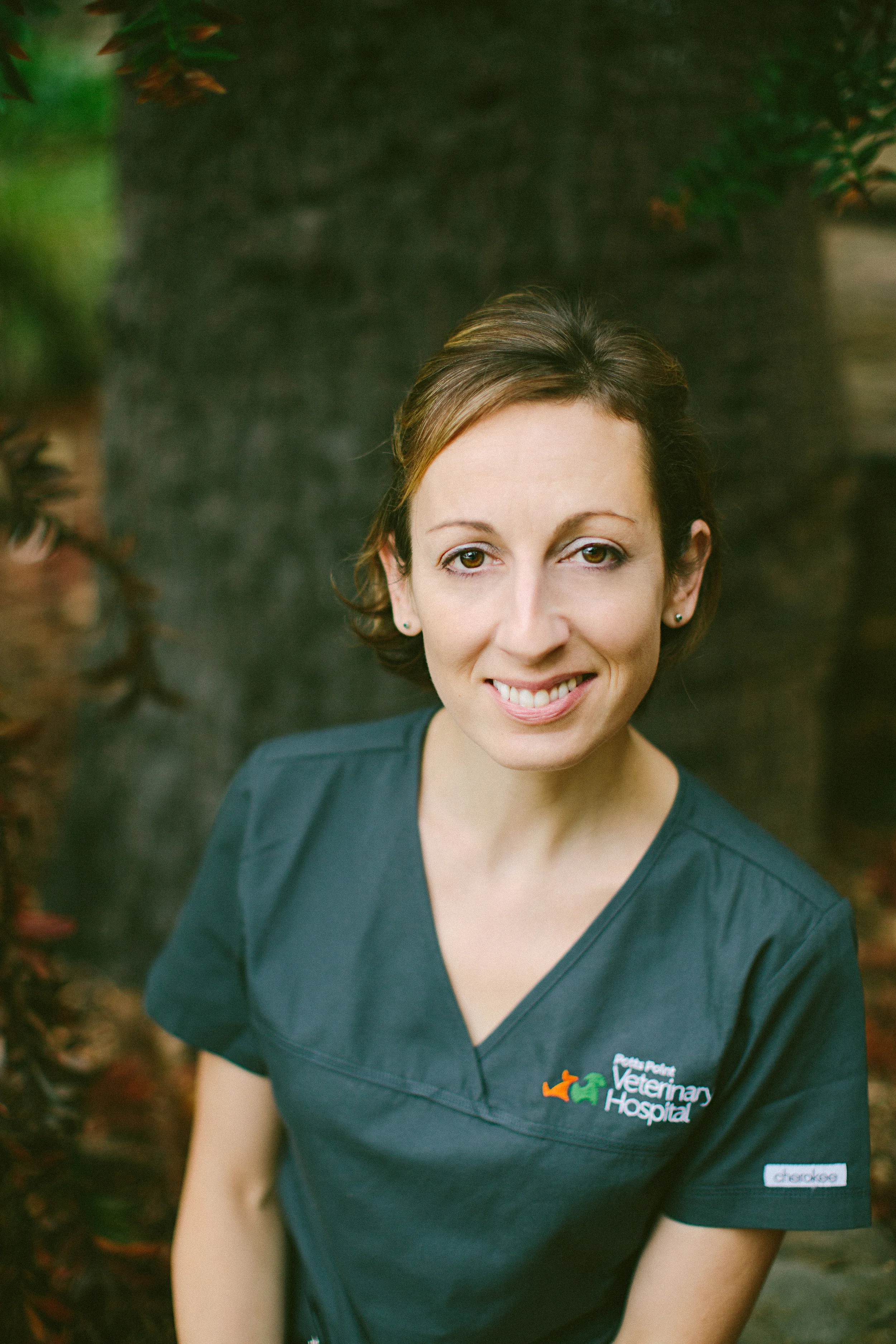 twoguineapigs_potts_point_vet_hospital_claire_jenkins.jpg